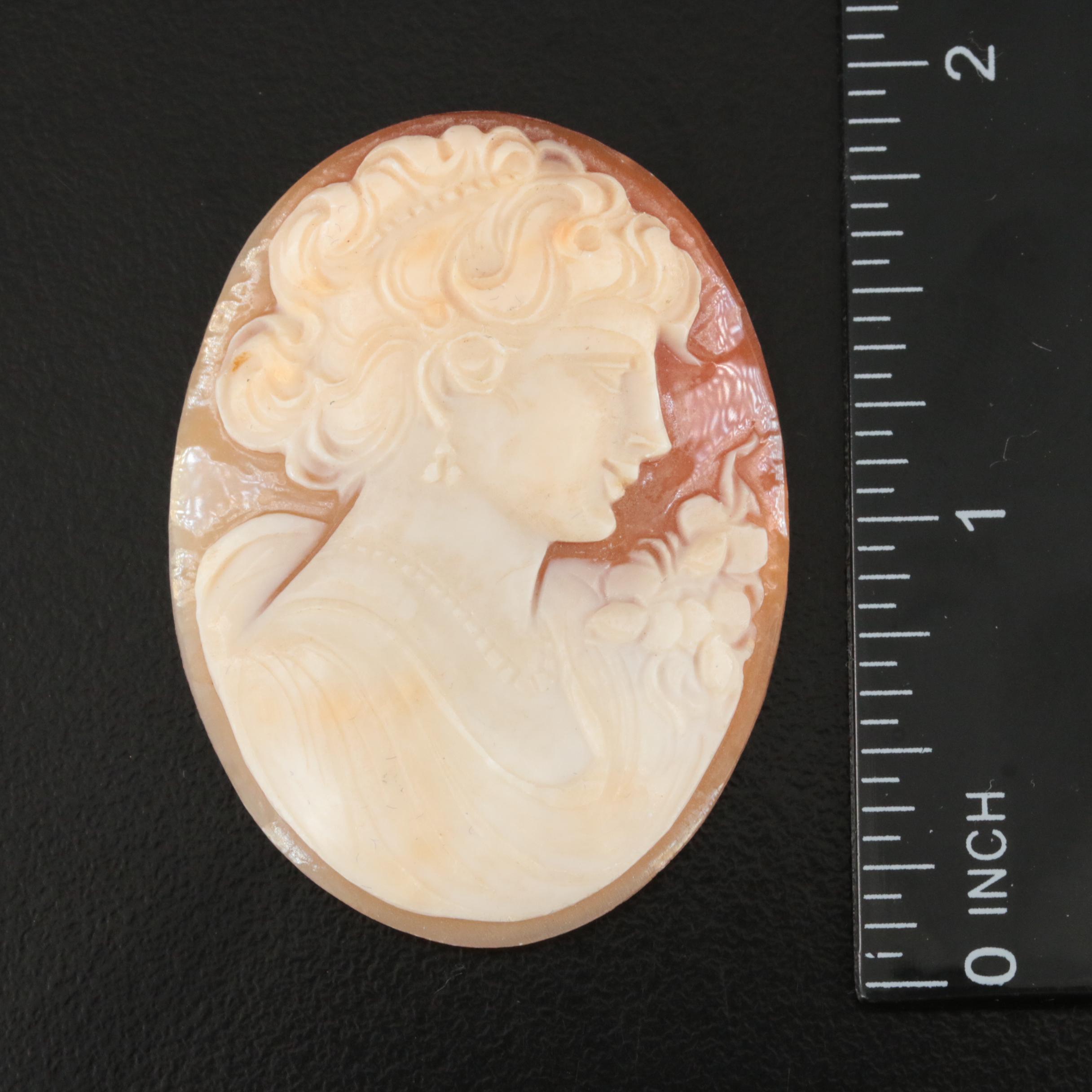 Loose Oval Shell Cameo