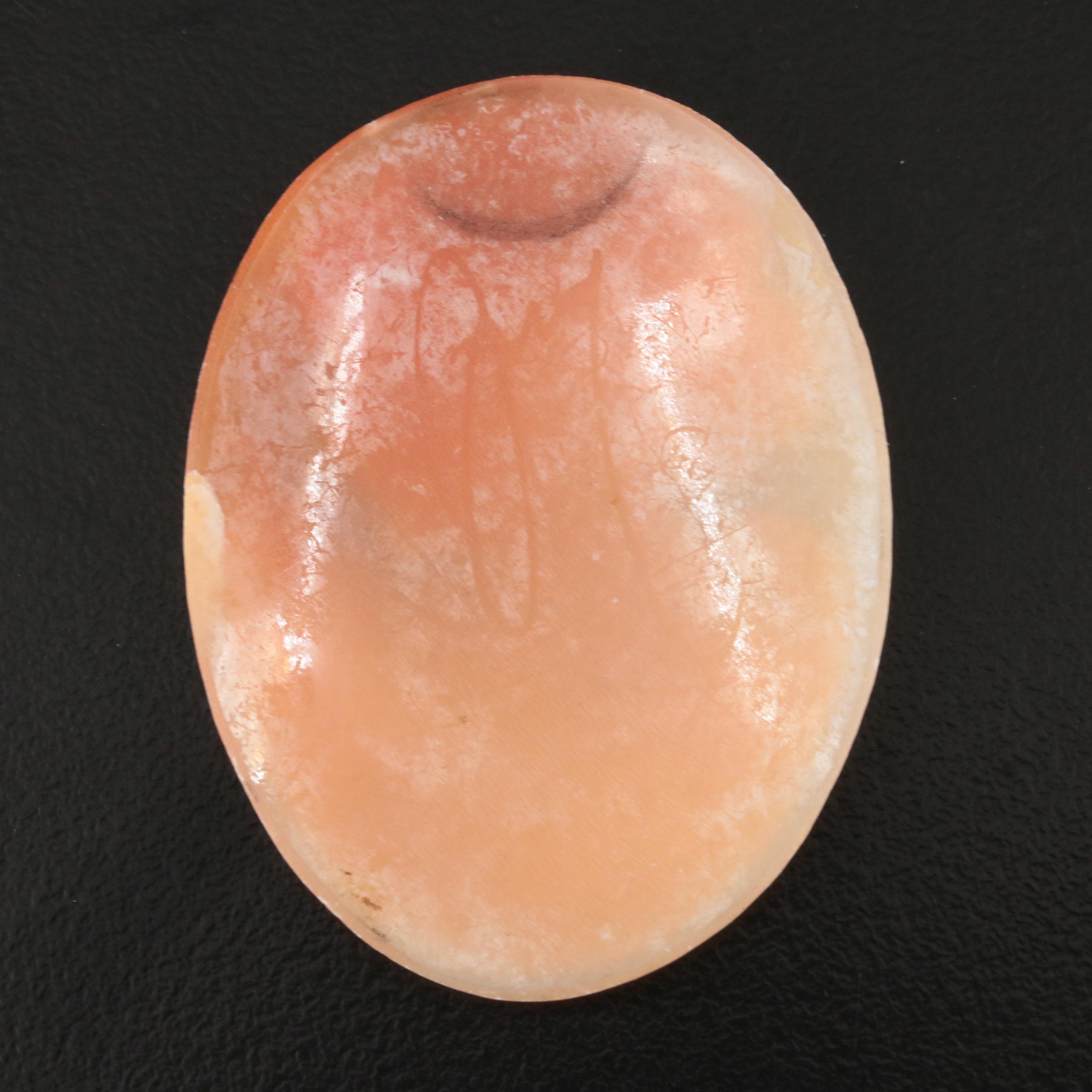 Loose Oval Shell Cameo