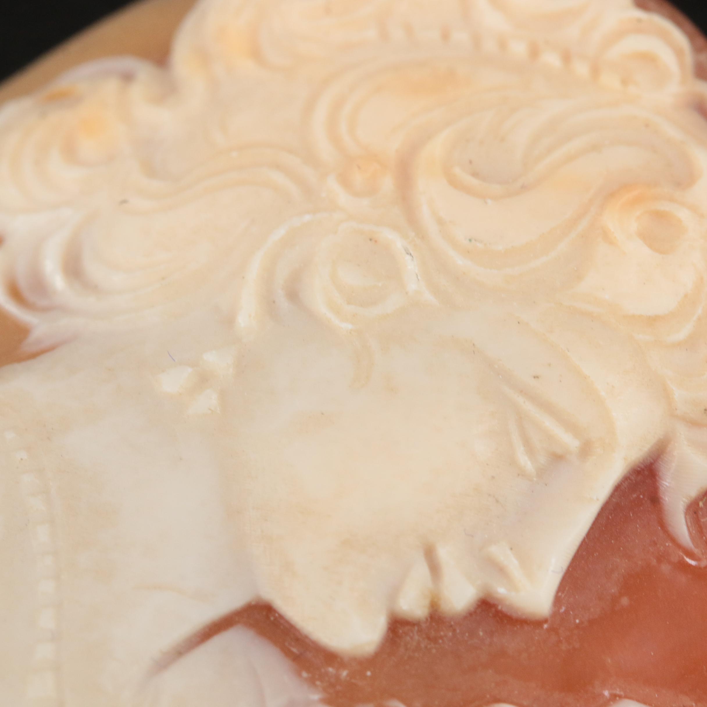 Loose Oval Shell Cameo