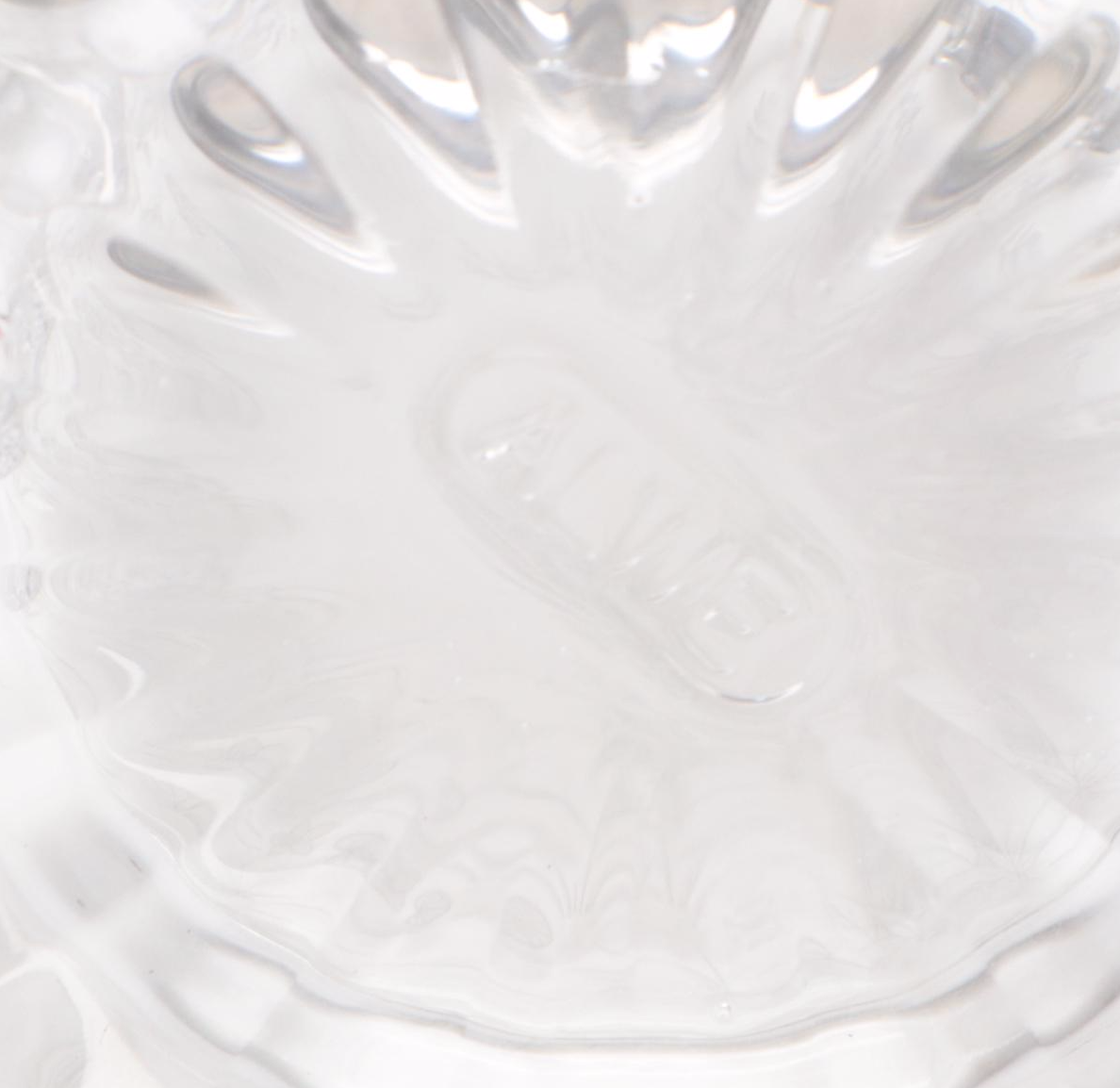 Alwe German Etched Glass Beer Steins with Accent Pillow