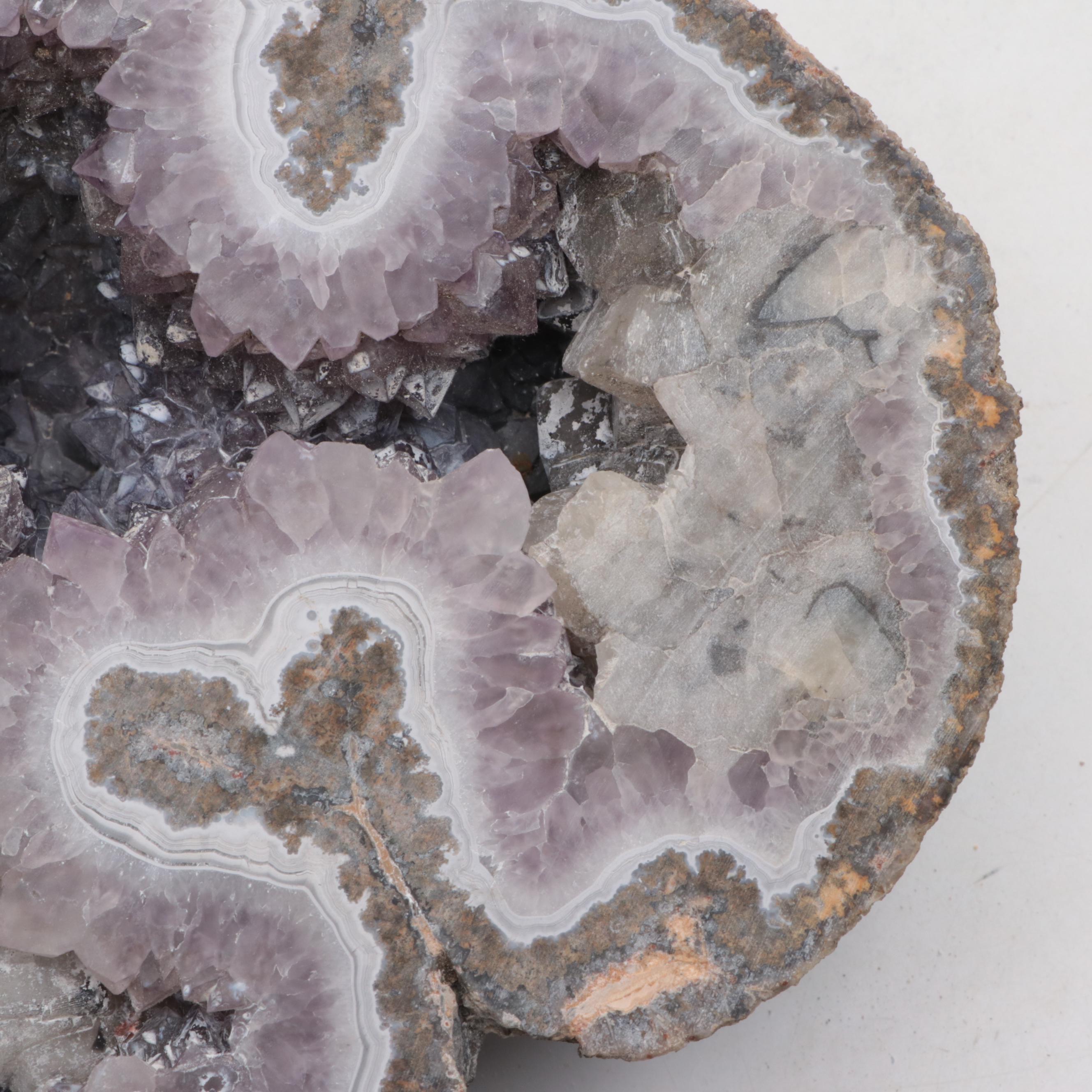 Amethyst Geode Half-Cut Specimen