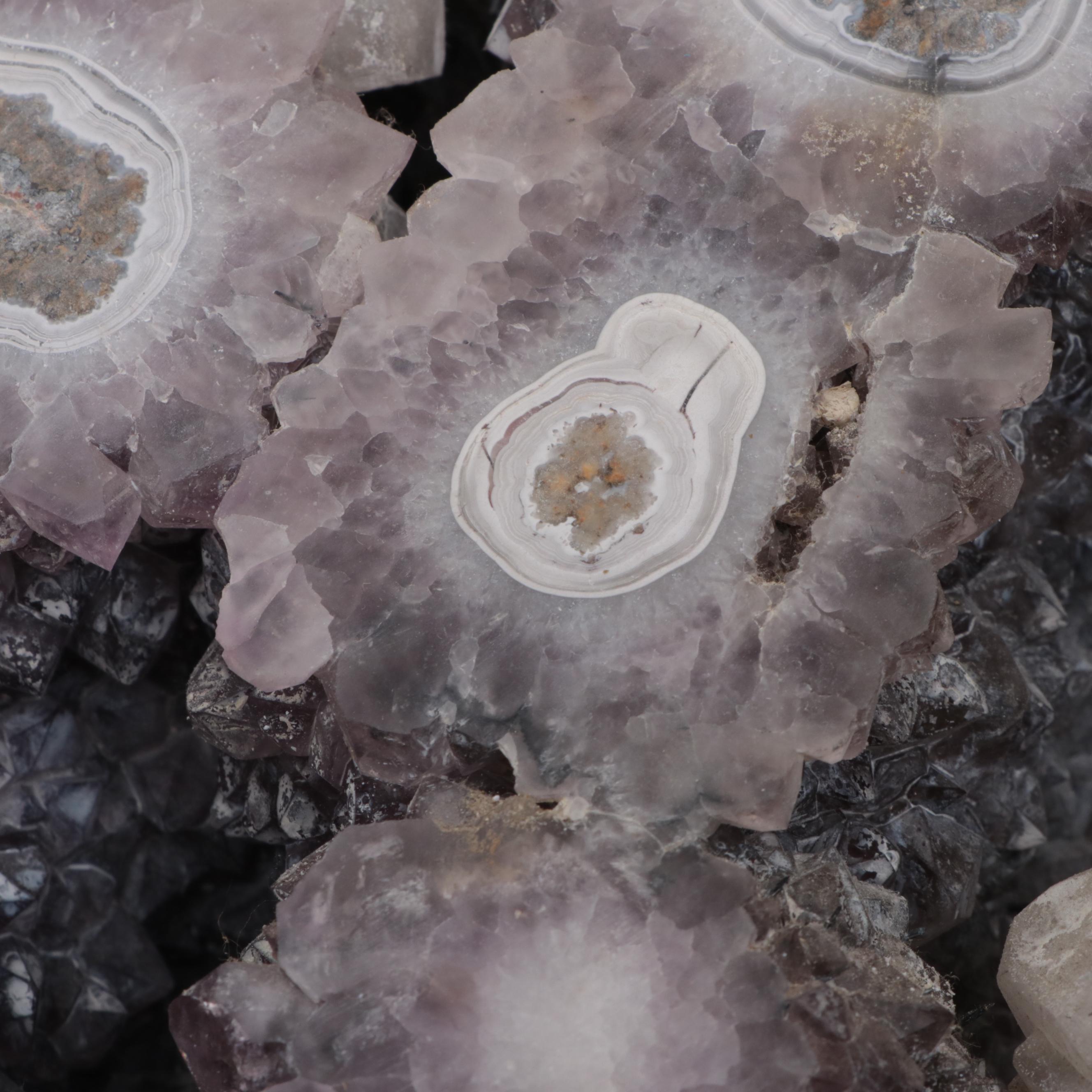 Amethyst Geode Half-Cut Specimen
