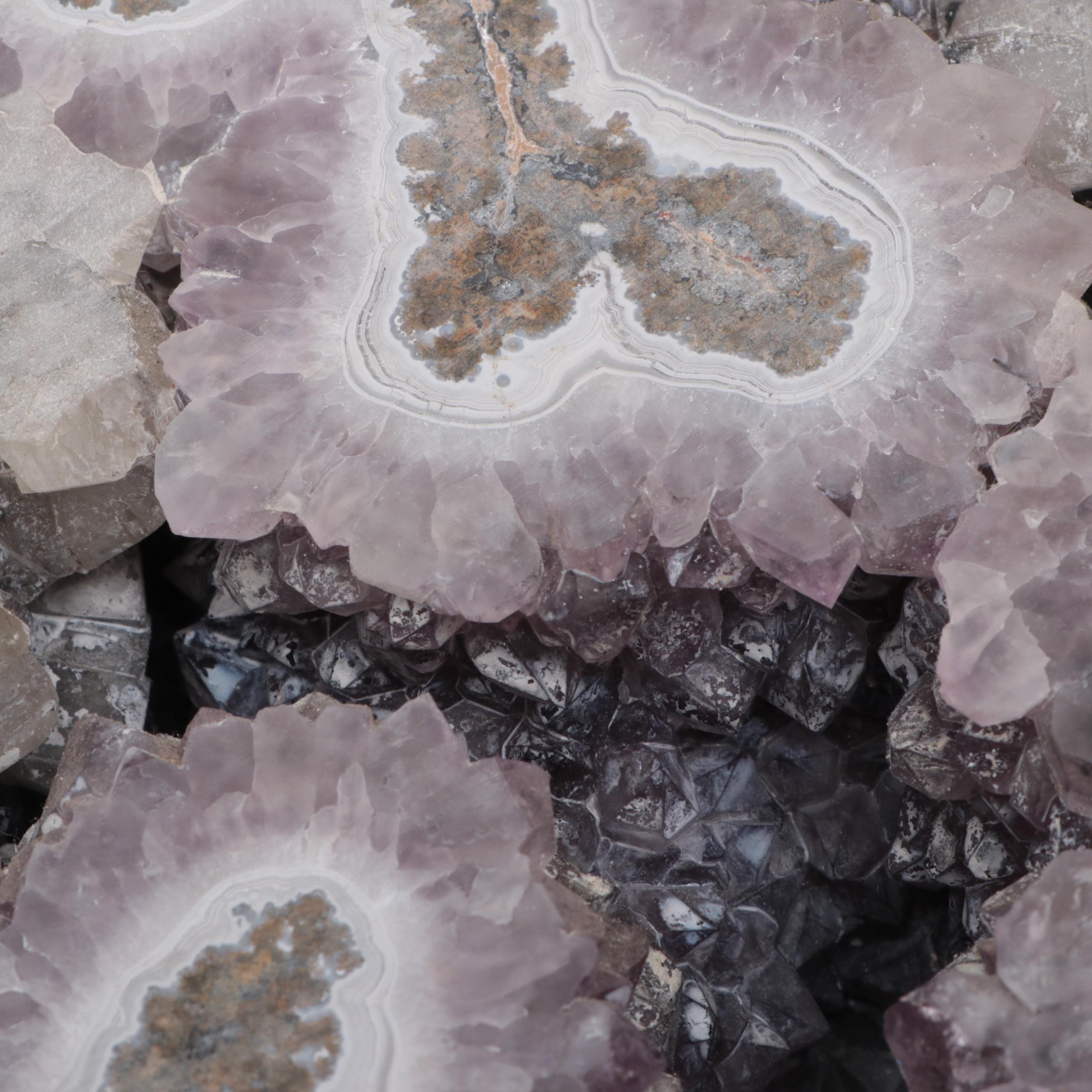 Amethyst Geode Half-Cut Specimen