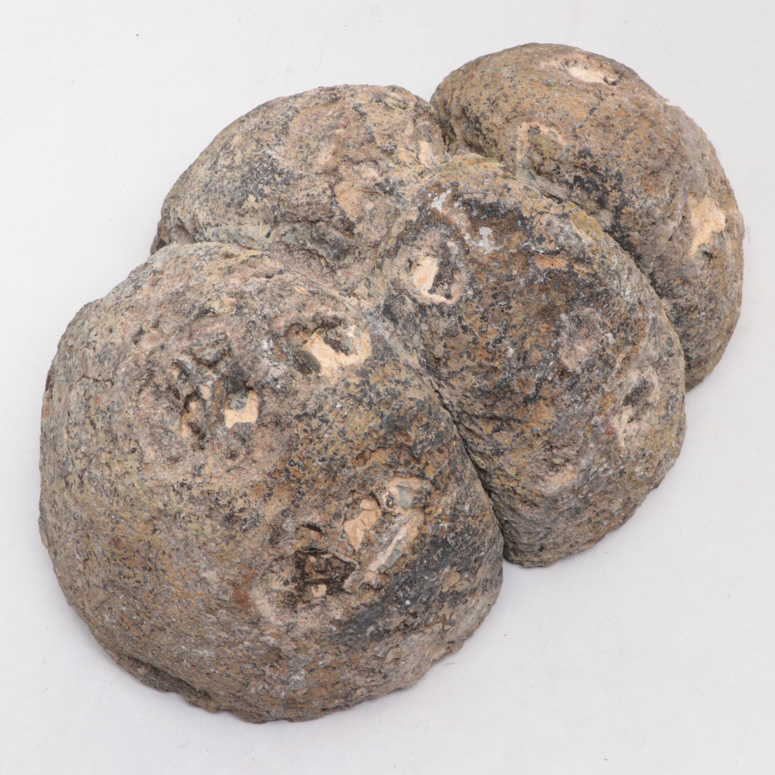 Amethyst Geode Half-Cut Specimen