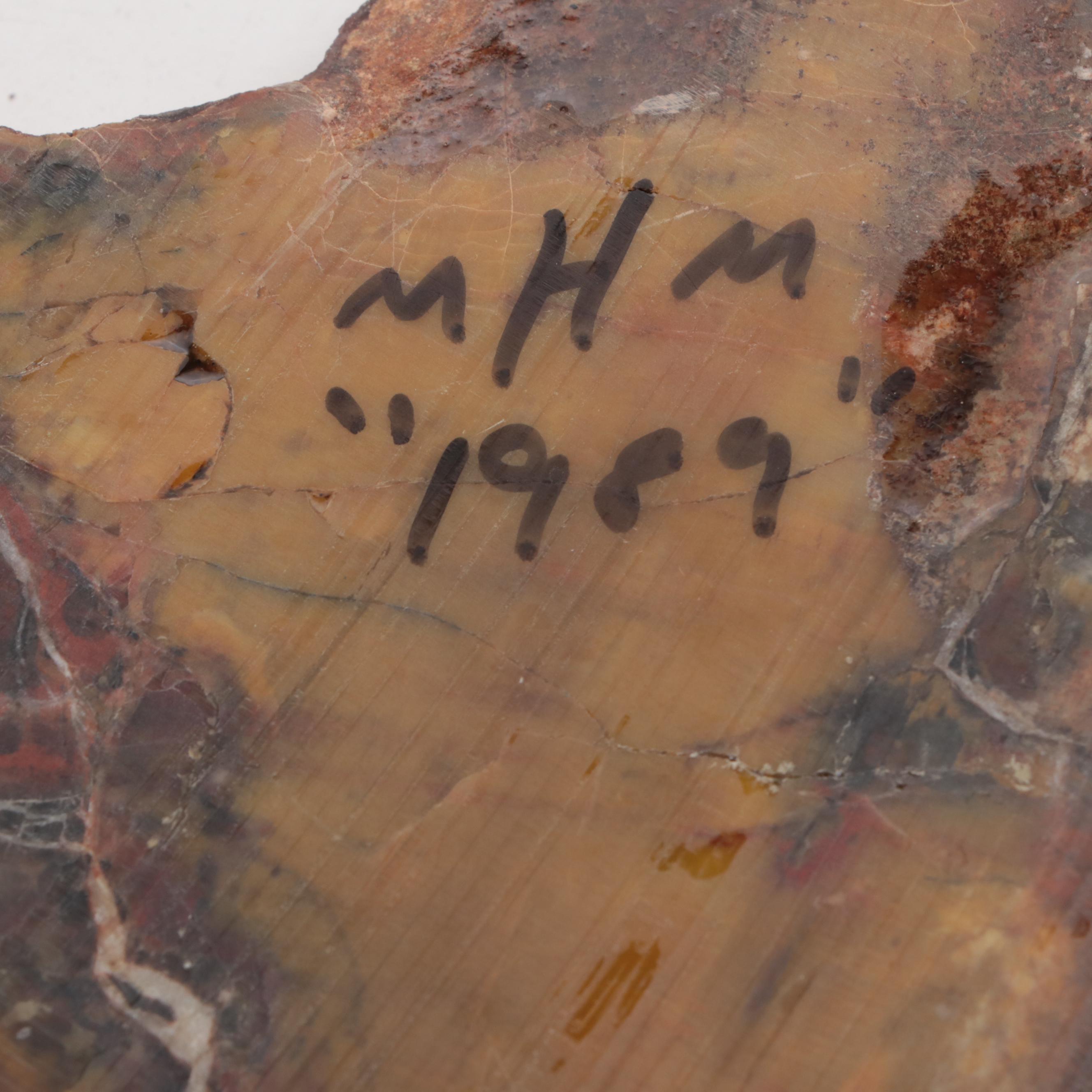 Polished Petrified and Agatized Wood Slab