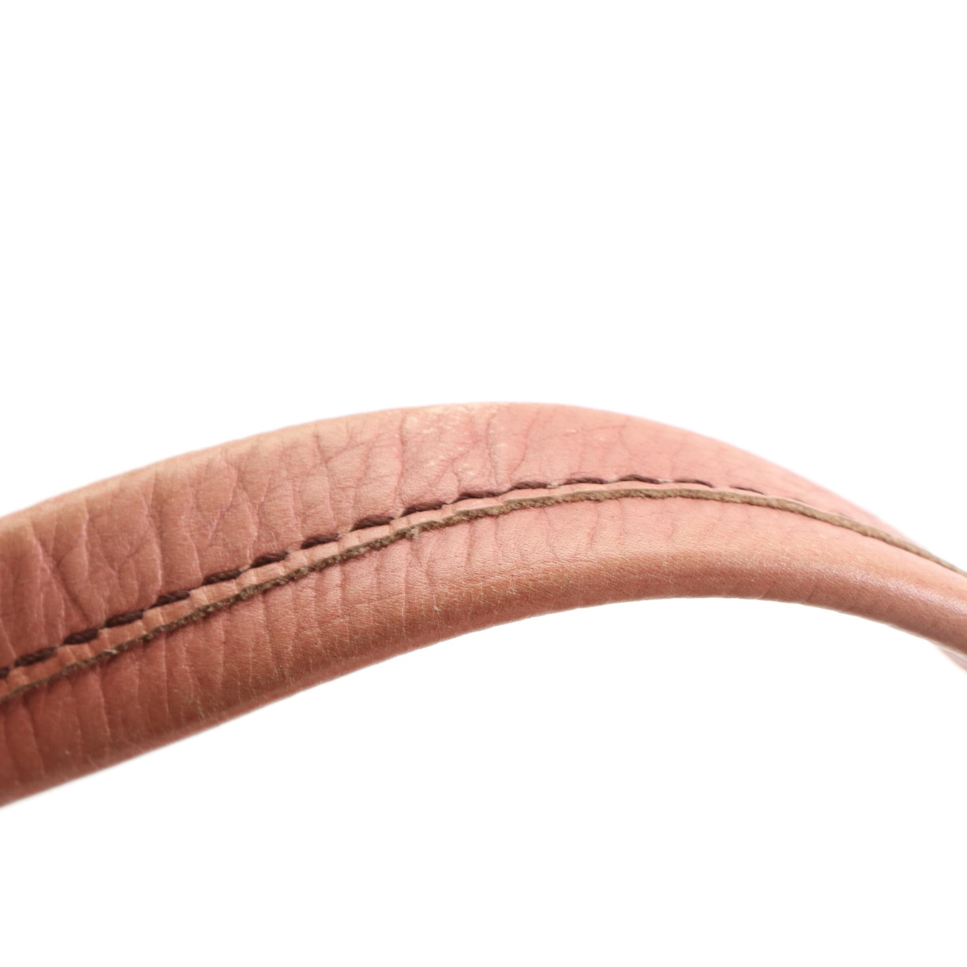 Prada Bufalo Easy Shoulder Bag in Leather