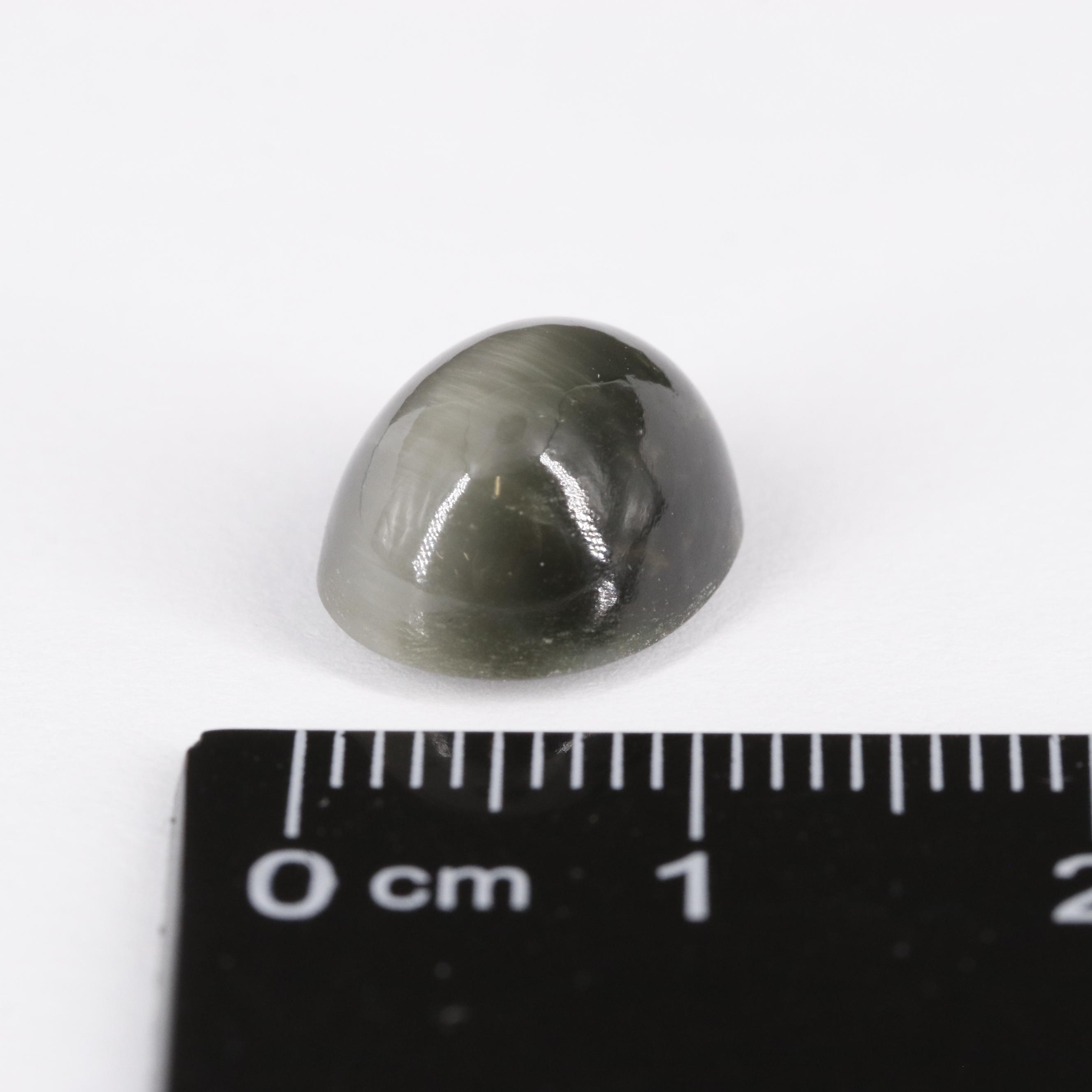 Loose 6.05 CT Cat's Eye Quartz