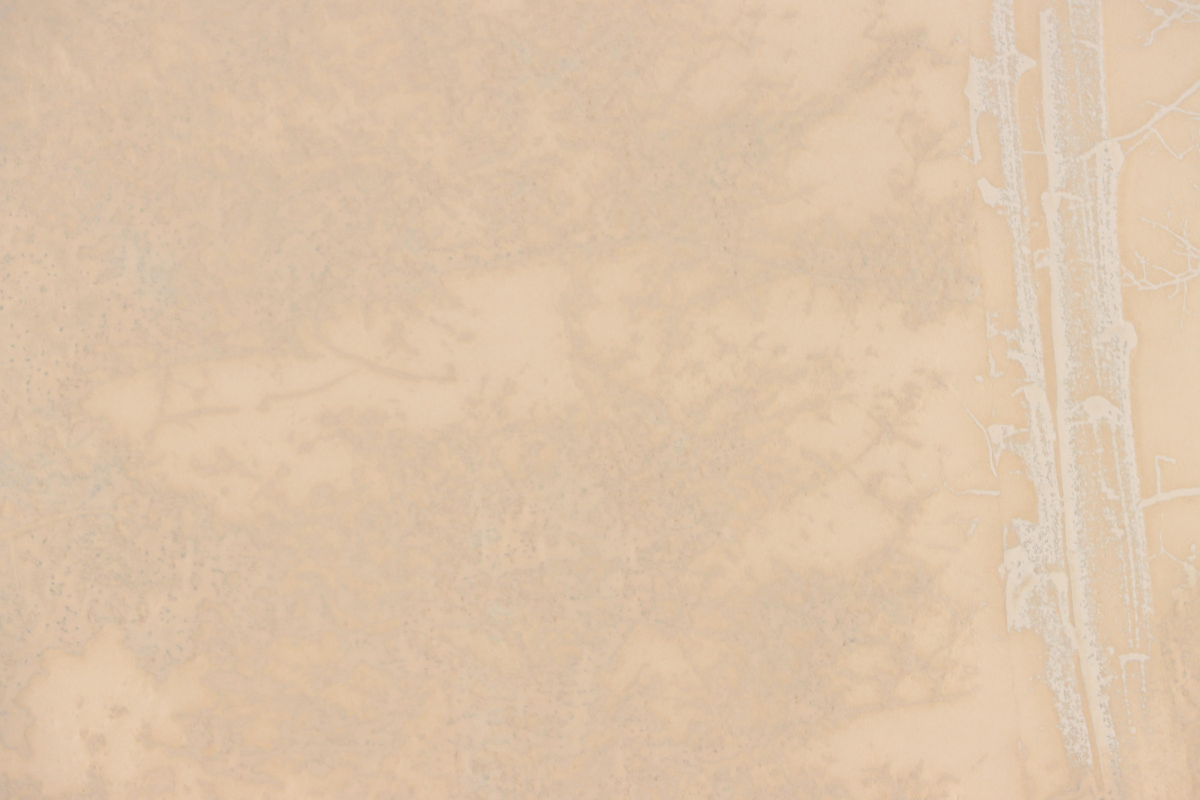 Paula Crane Embossed Aquatint Print "Whispers," Late 20th Century