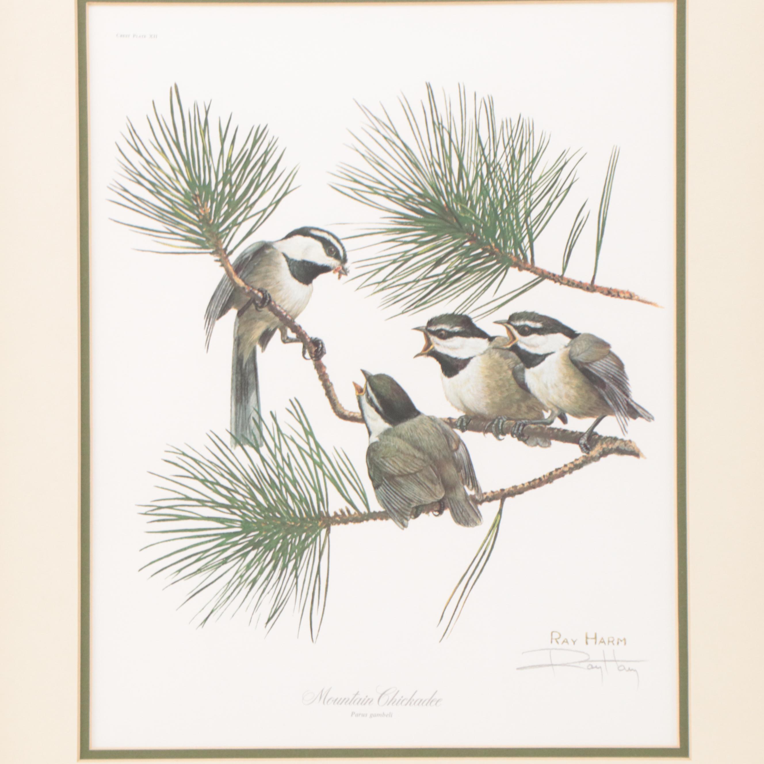 Ray Harm Offset Lithographs of Birds, Late 20th Century