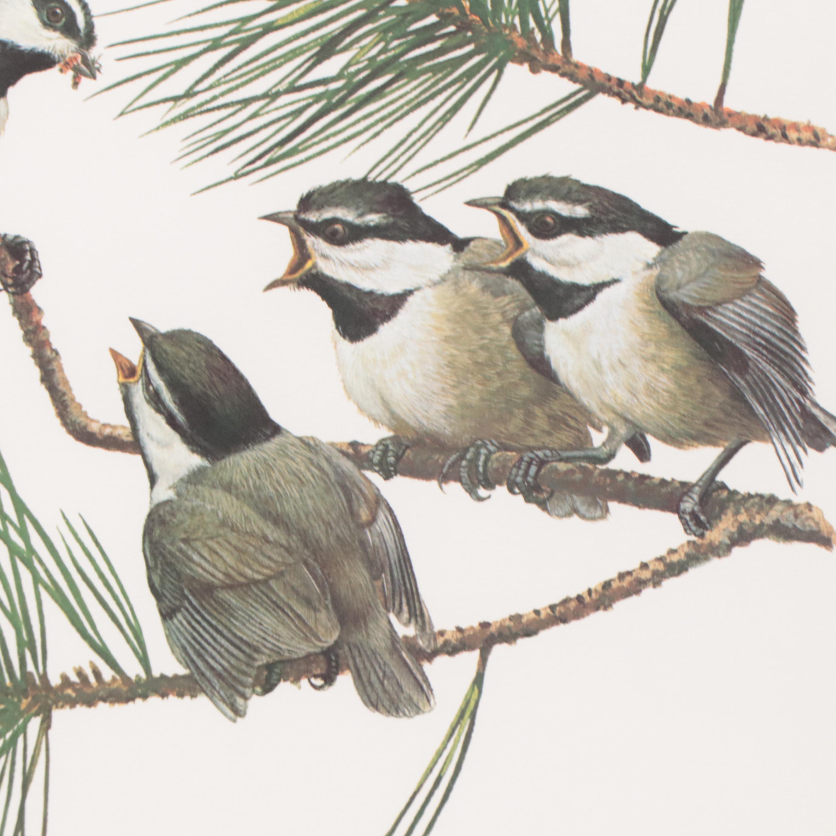 Ray Harm Offset Lithographs of Birds, Late 20th Century