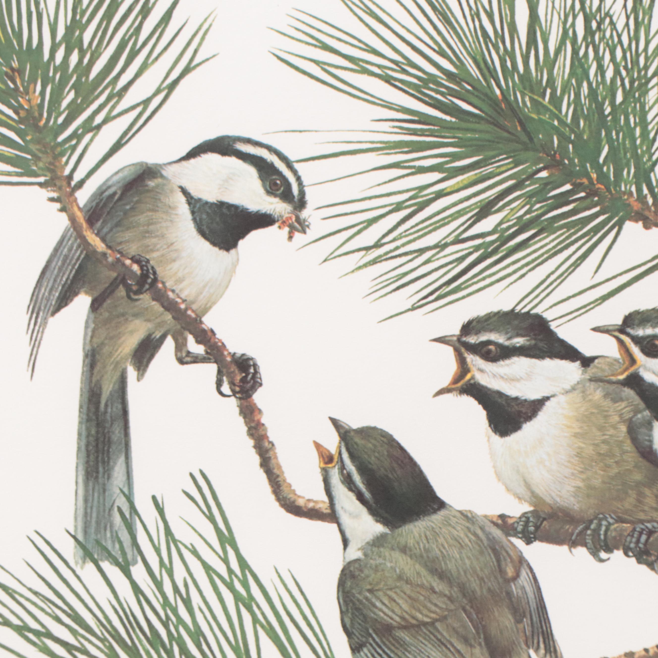 Ray Harm Offset Lithographs of Birds, Late 20th Century