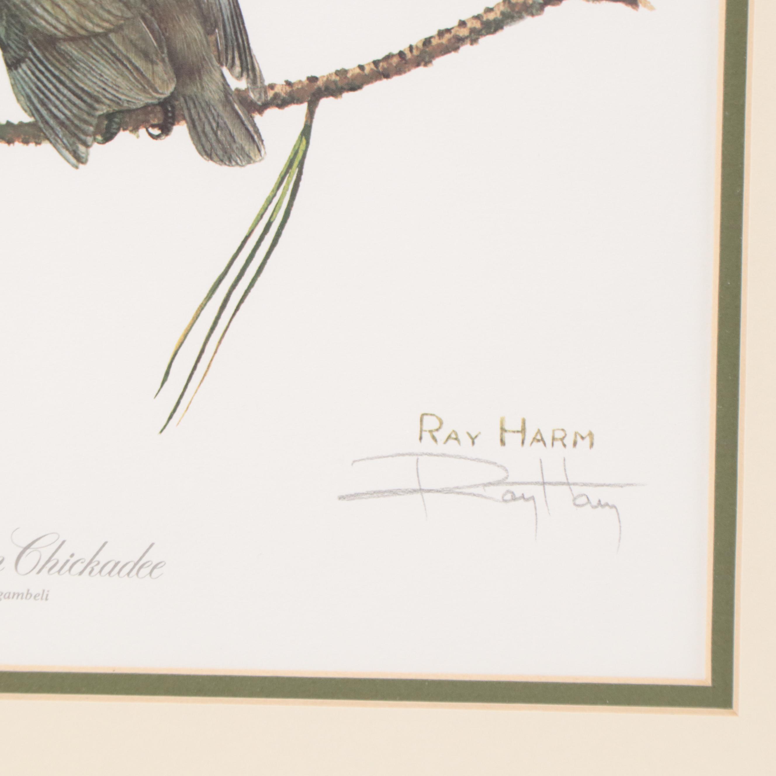 Ray Harm Offset Lithographs of Birds, Late 20th Century