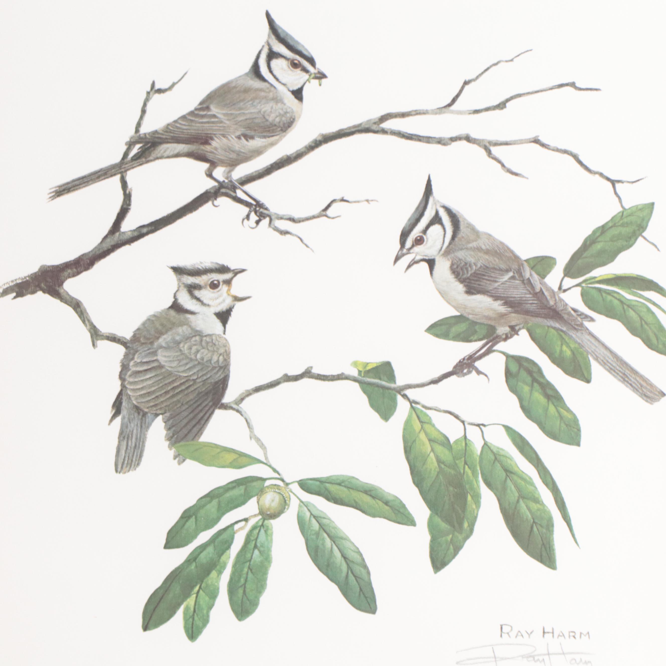Ray Harm Offset Lithographs of Birds, Late 20th Century