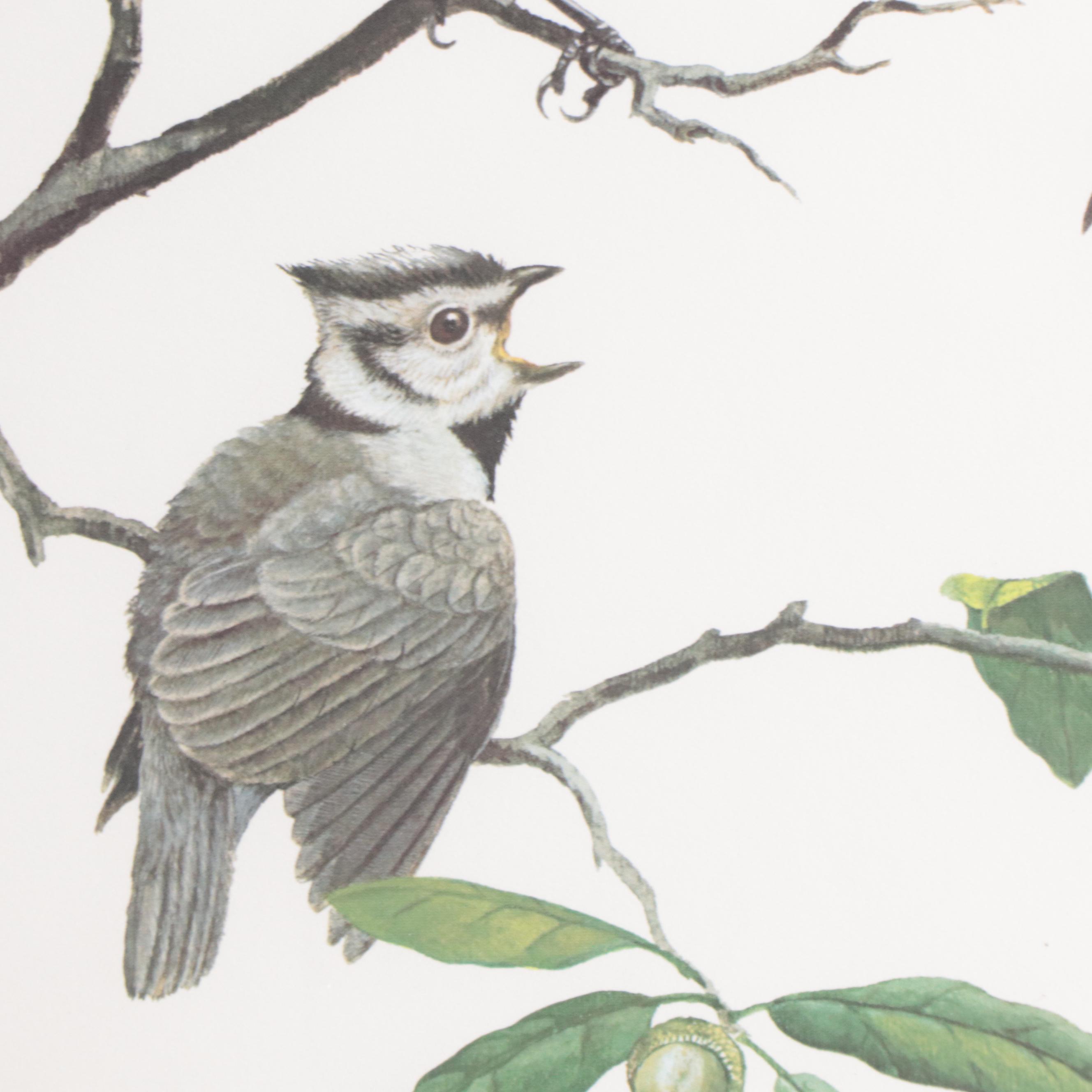 Ray Harm Offset Lithographs of Birds, Late 20th Century