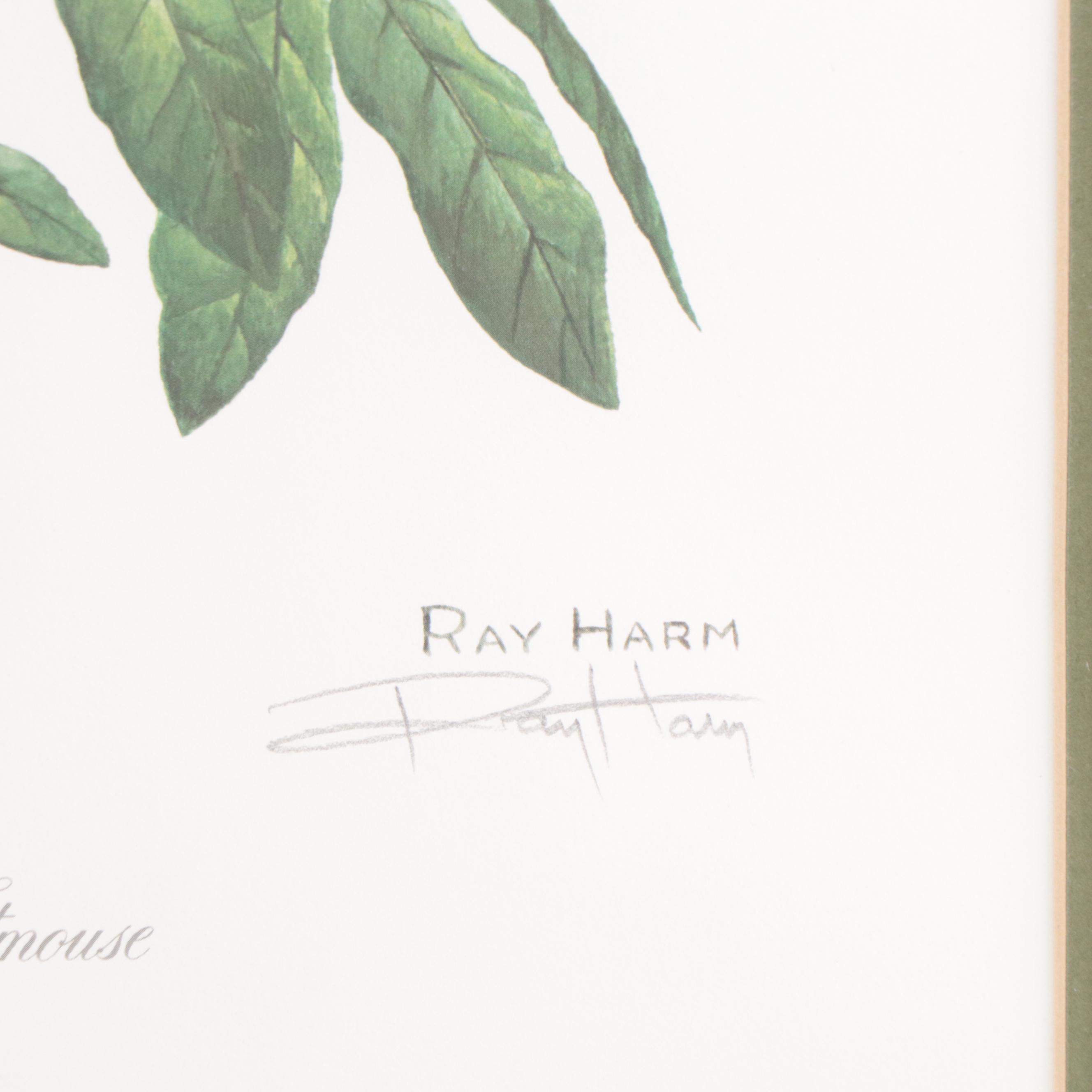 Ray Harm Offset Lithographs of Birds, Late 20th Century