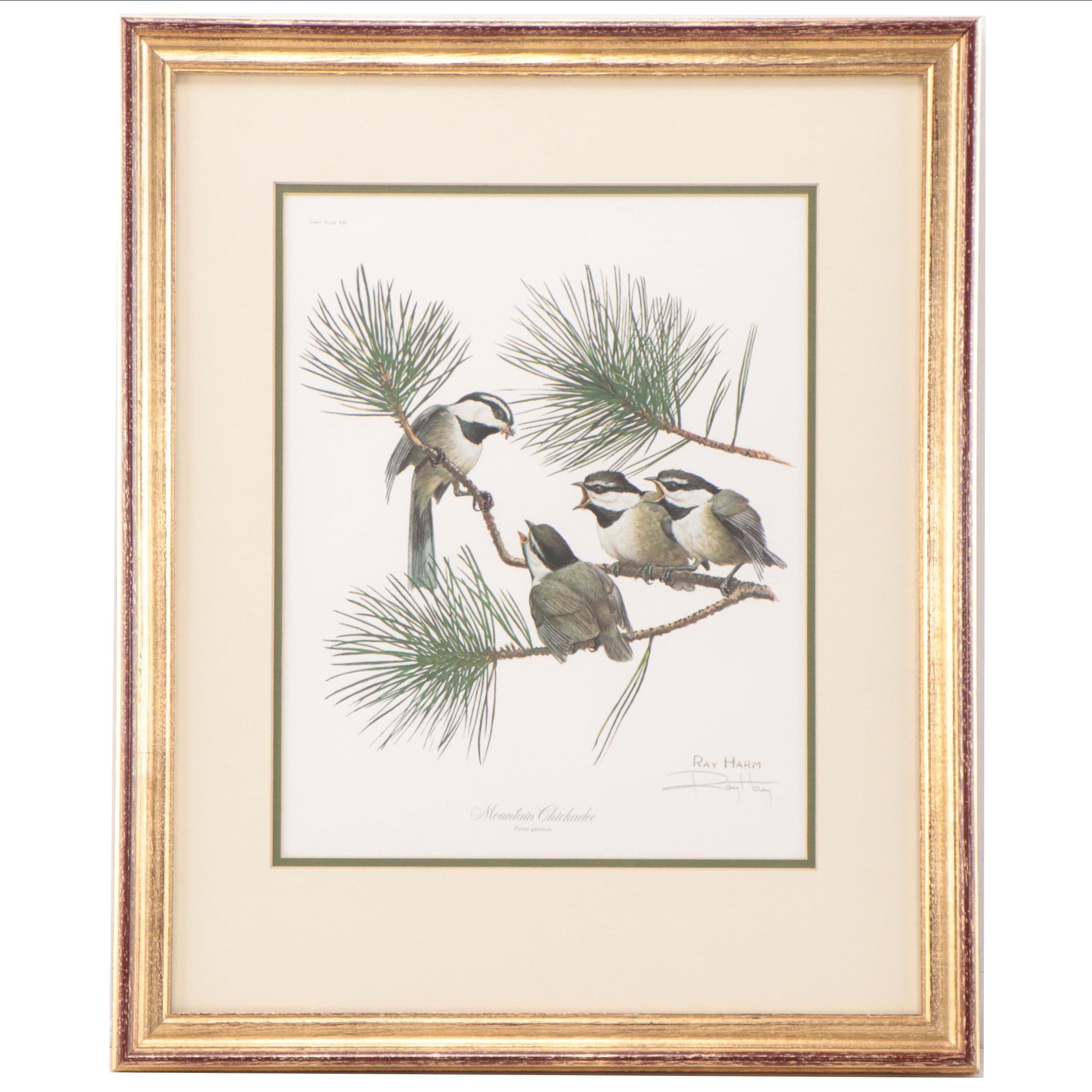 Ray Harm Offset Lithographs of Birds, Late 20th Century