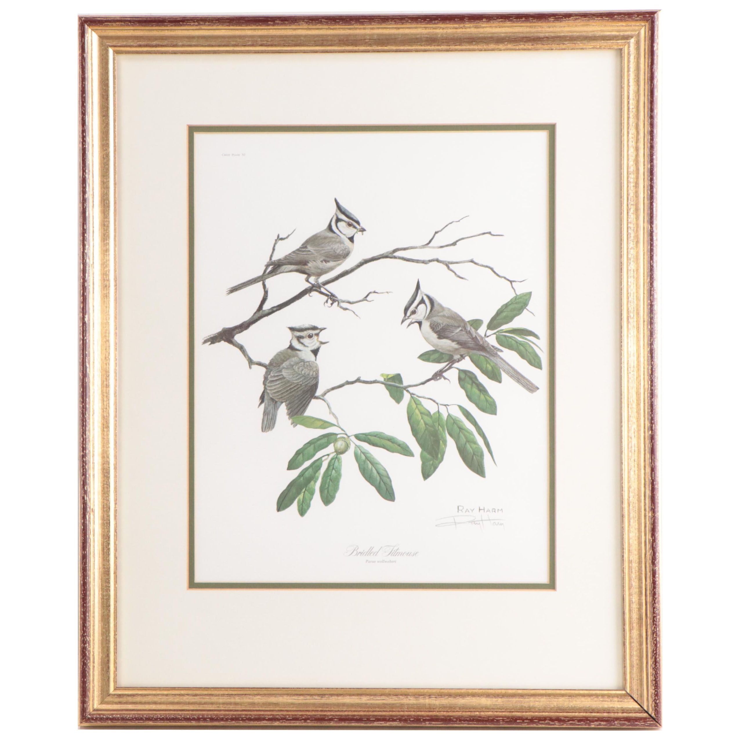 Ray Harm Offset Lithographs of Birds, Late 20th Century
