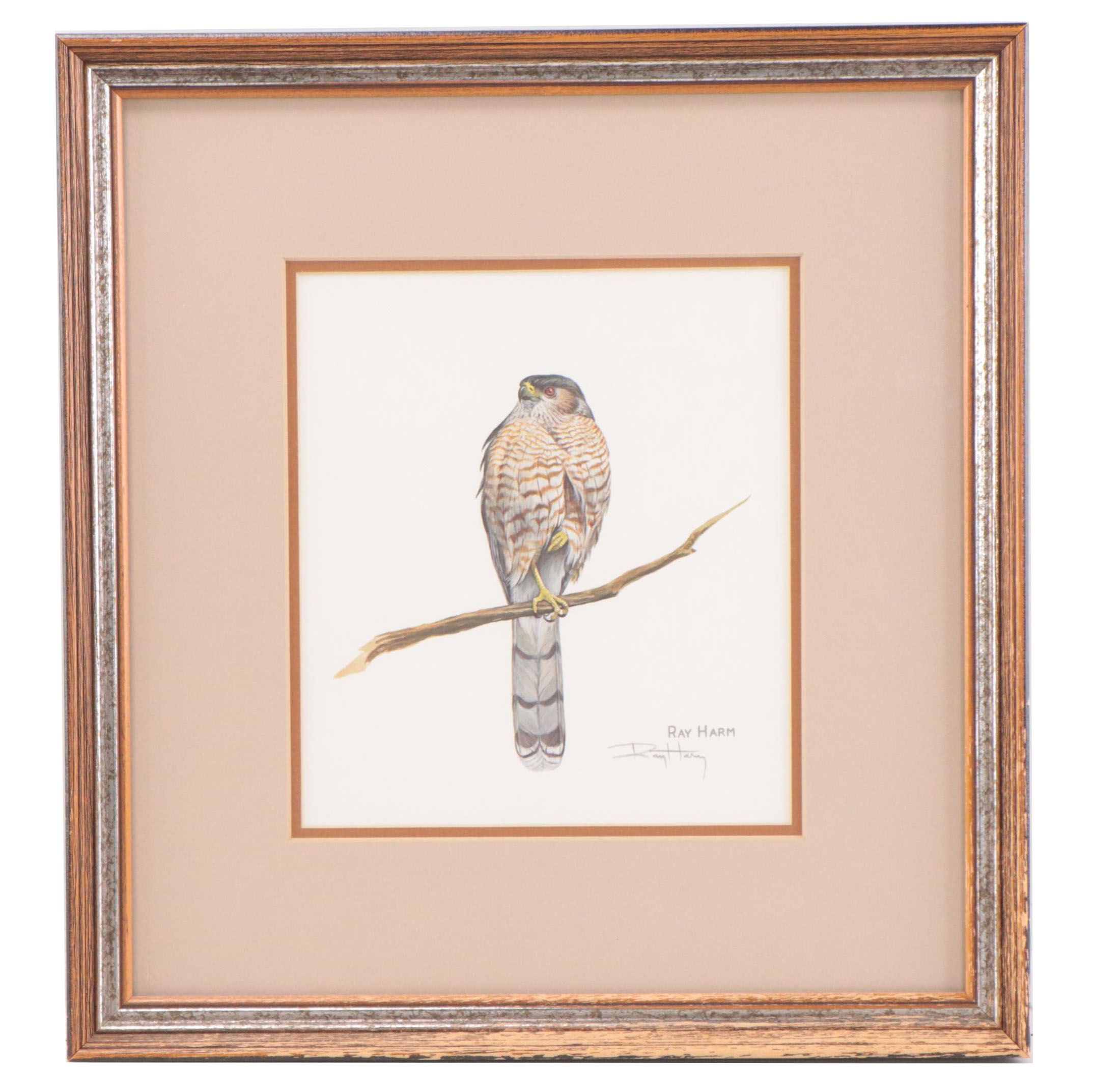 Ray Harm Offset Lithographs of Birds, Late 20th Century