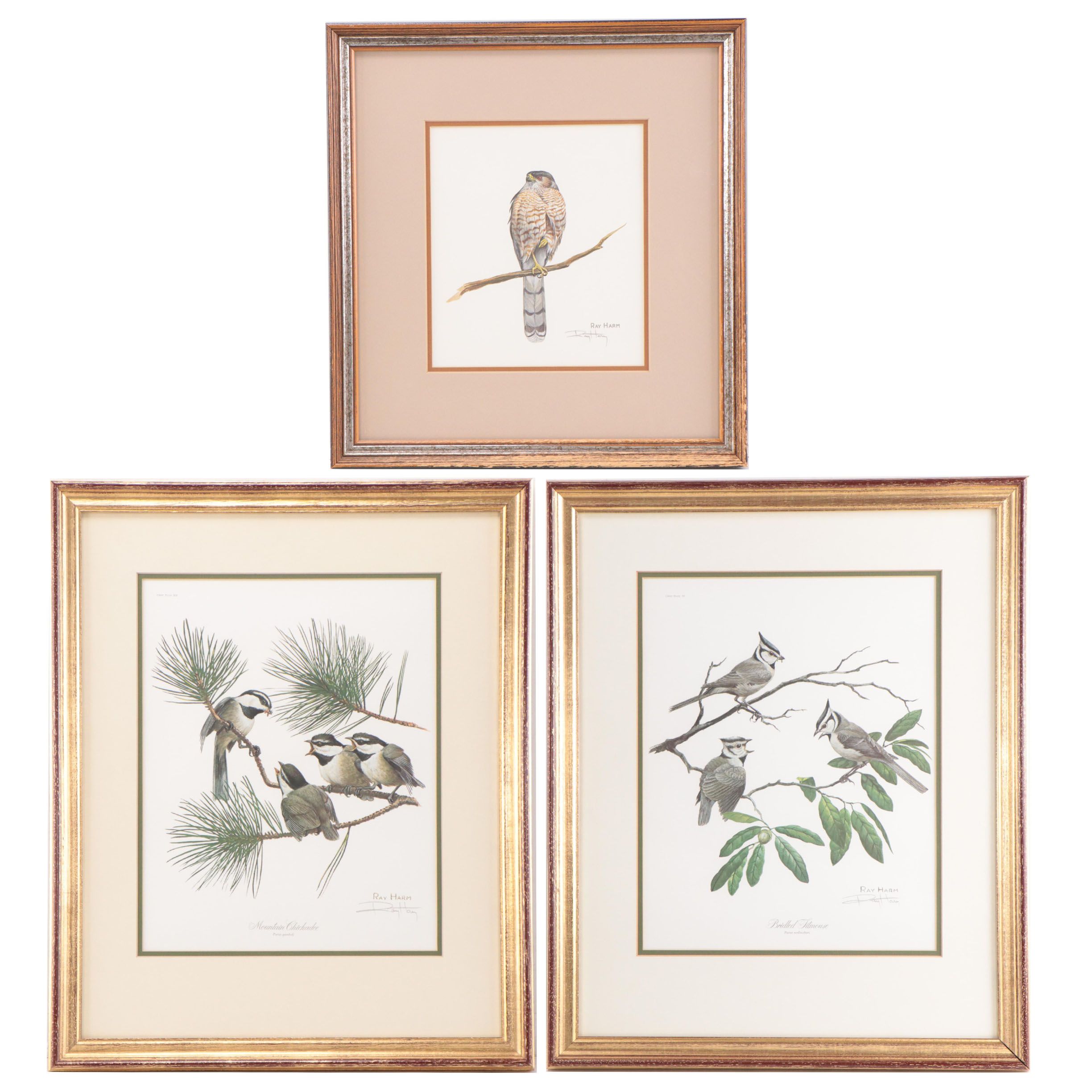 Ray Harm Offset Lithographs of Birds, Late 20th Century
