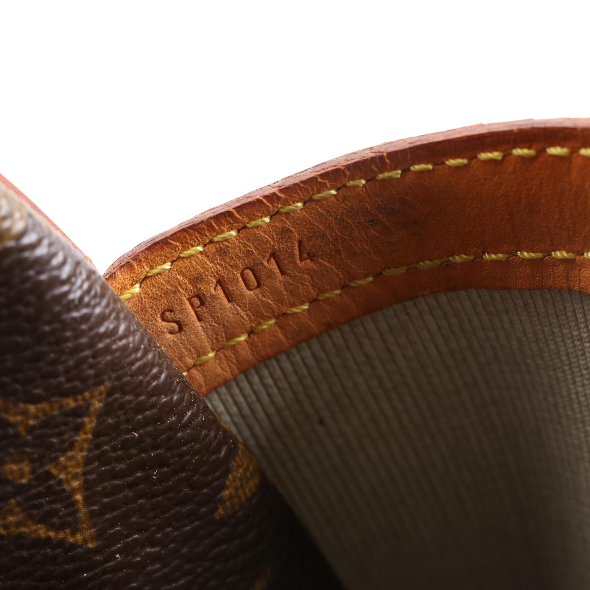 Louis Vuitton Reporter PM Bag in Monogram Canvas and Leather