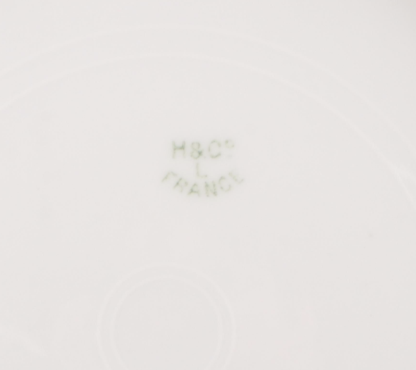 Haviland & Co. "Marseille" Porcelain Dinnerware