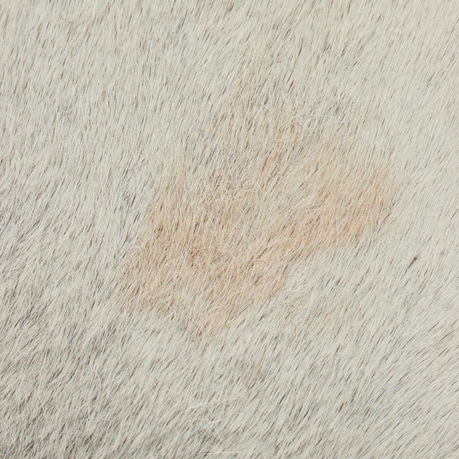 Modernist Style Chrome and Cowhide Stool