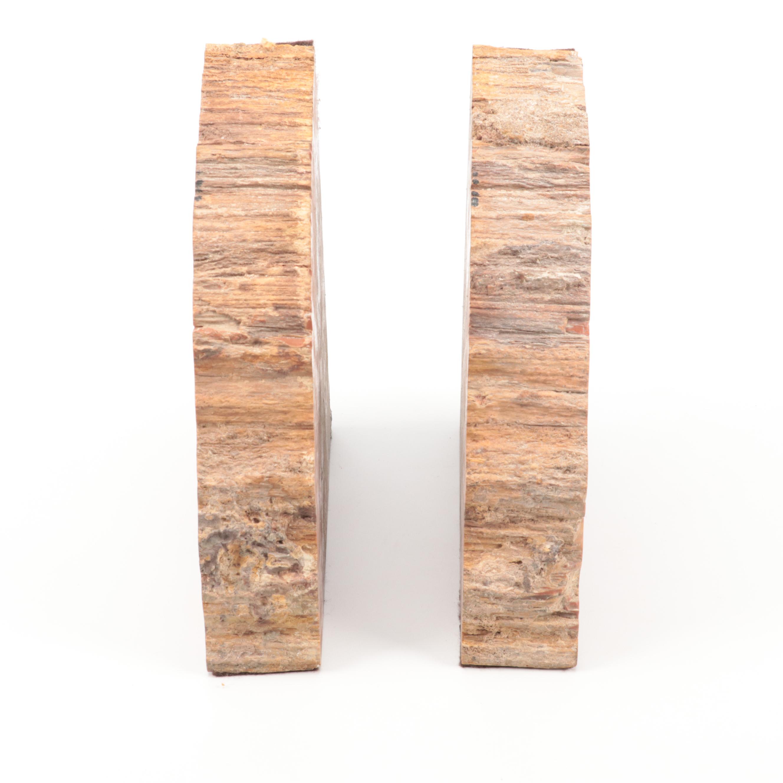 Cut Polished Petrified Wood Slab Bookends