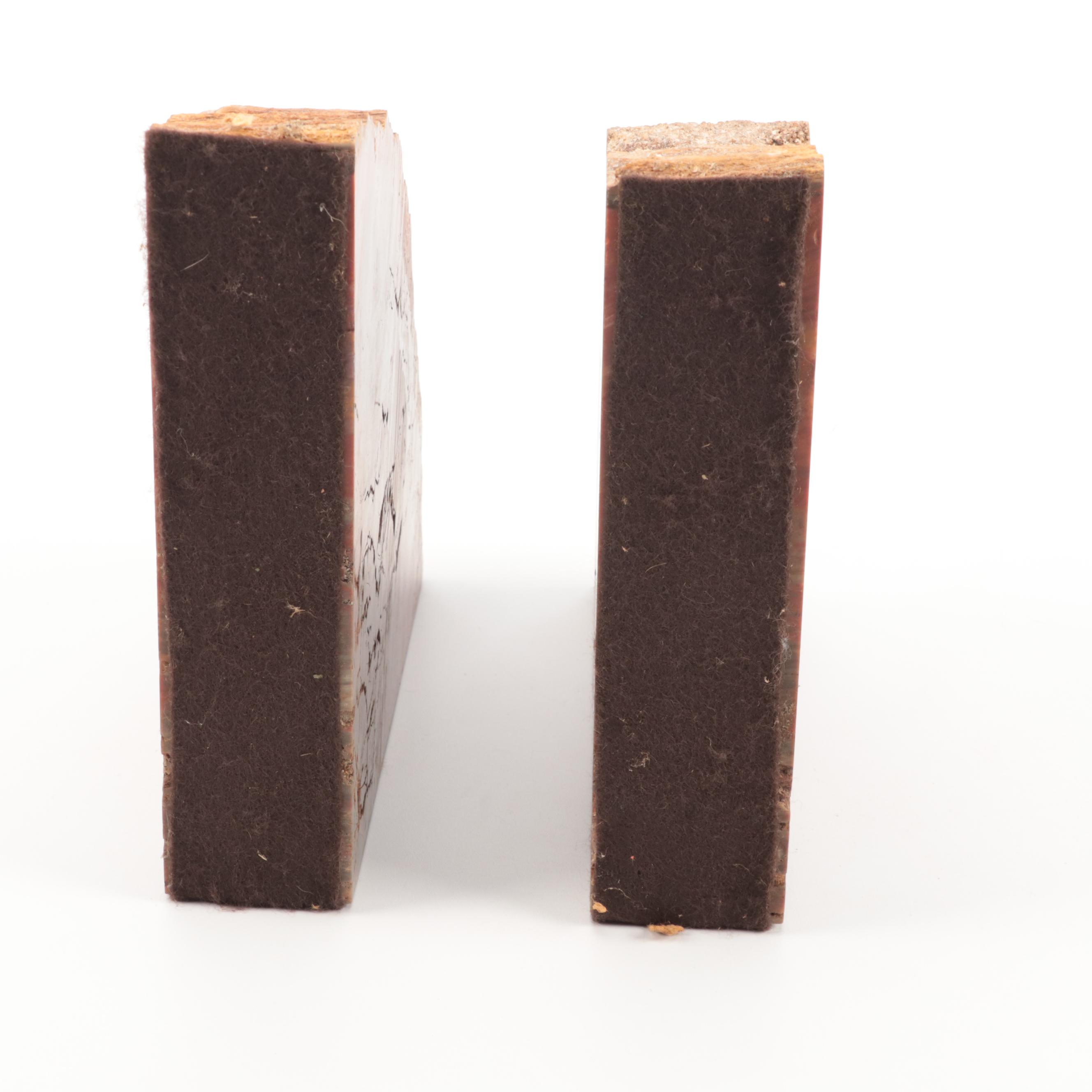 Cut Polished Petrified Wood Slab Bookends