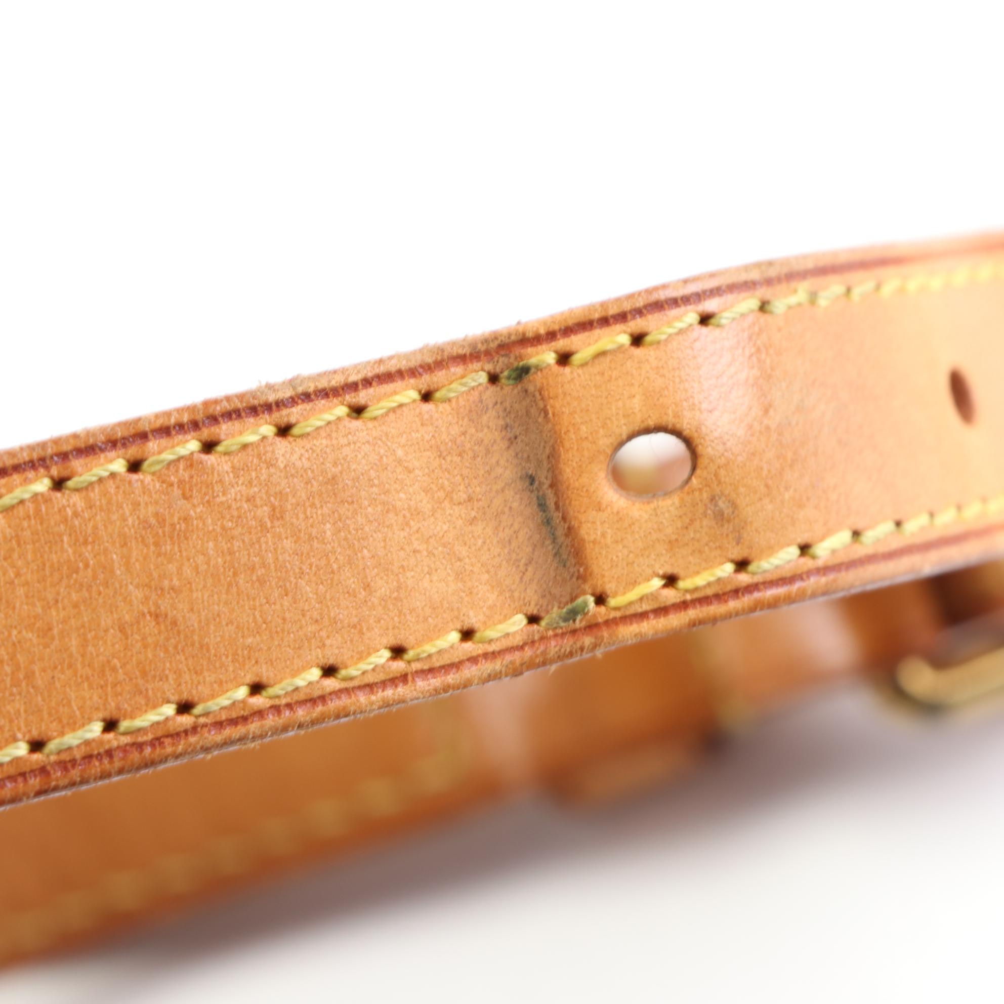 Louis Vuitton Odeon Bag in Monogram Canvas and Vachetta Leather