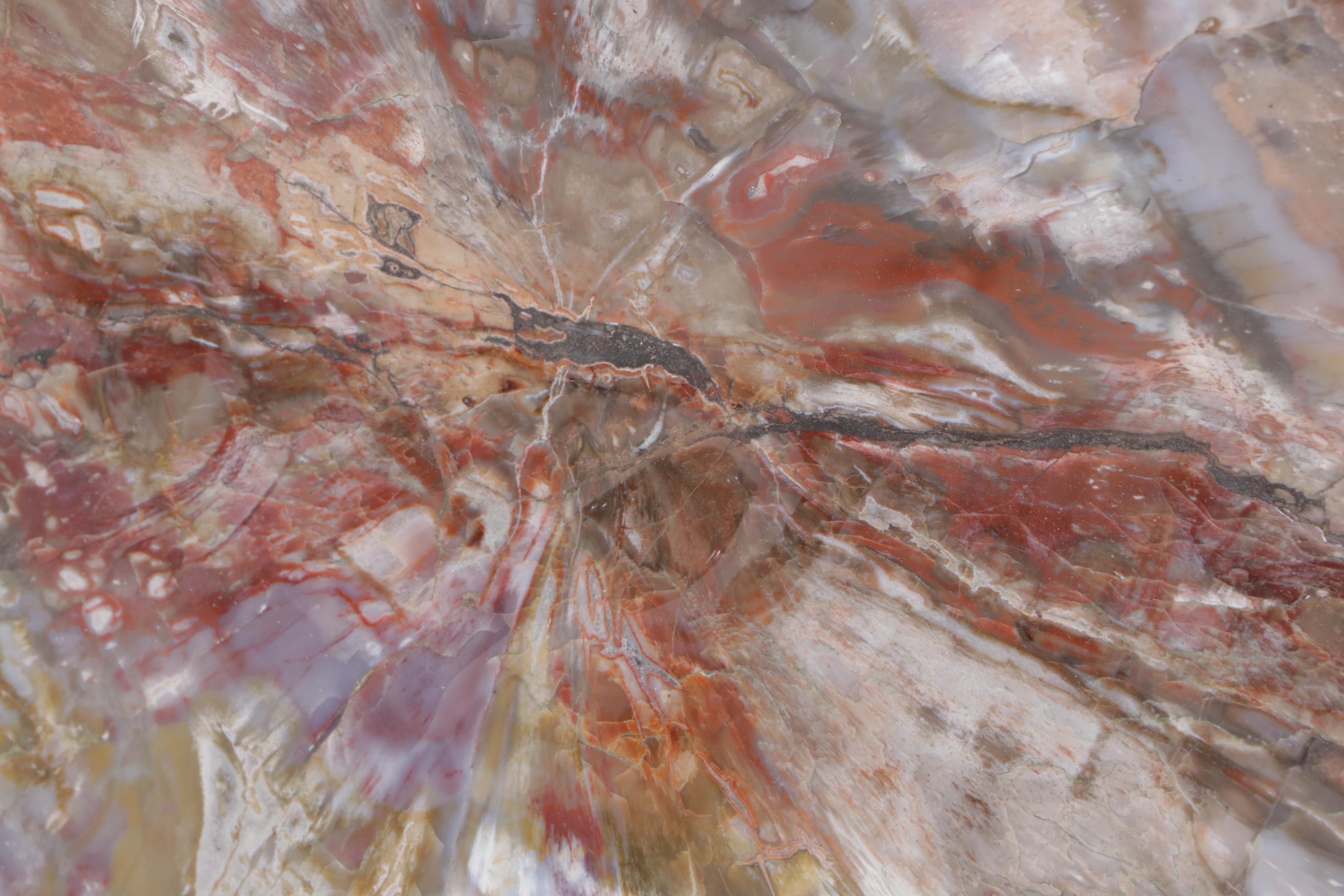 Agatized Petrified Wood Slab