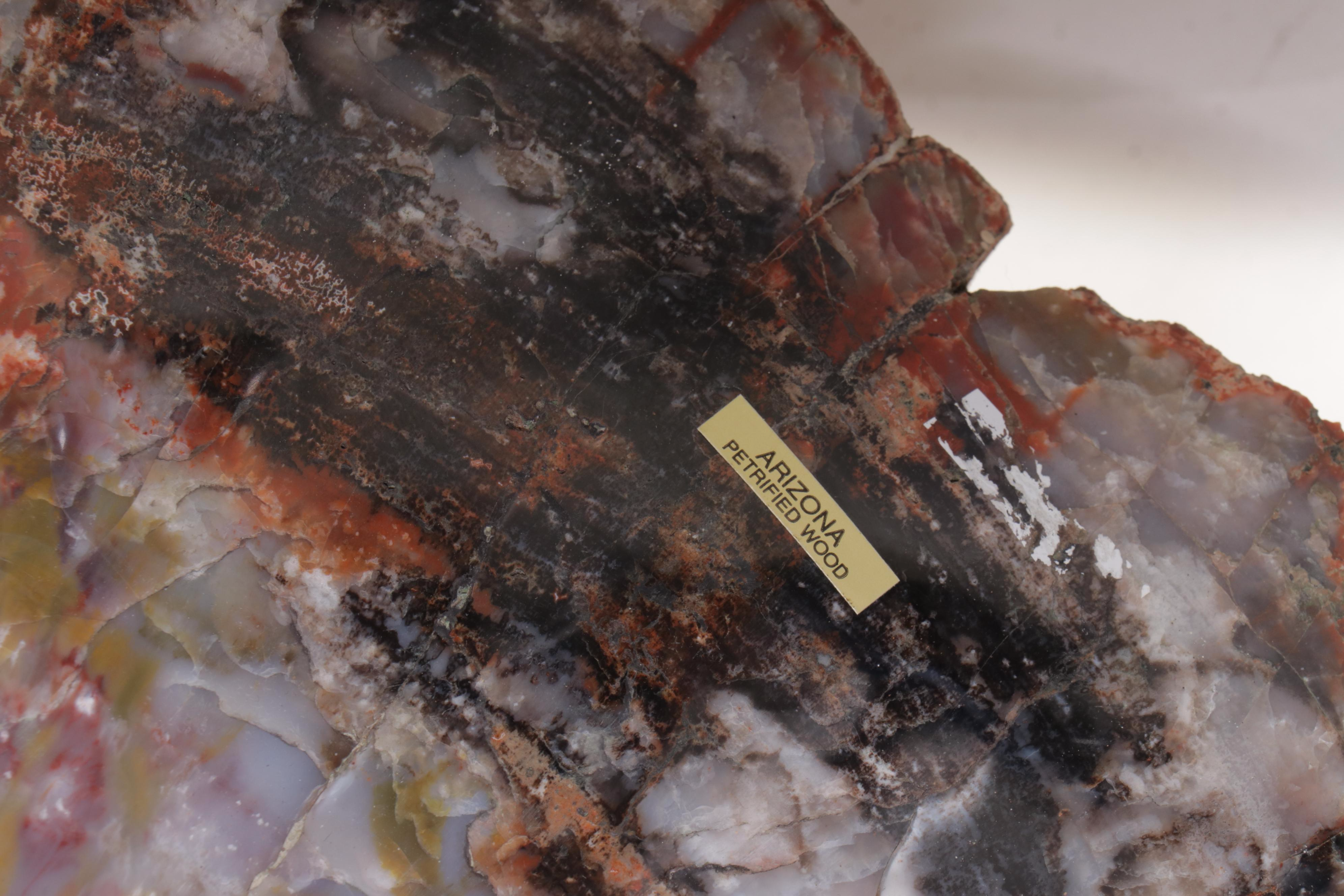 Agatized Petrified Wood Slab