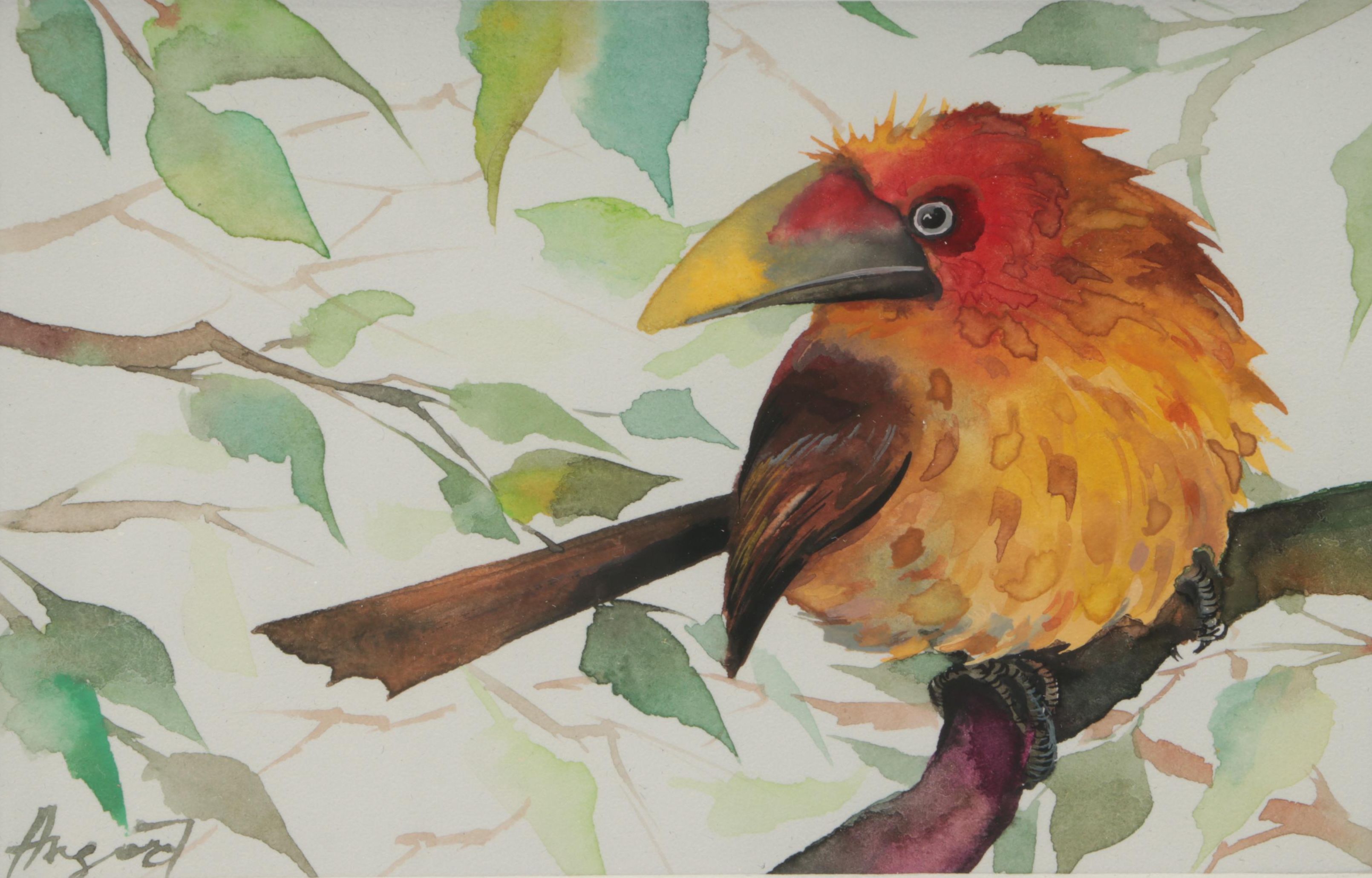 Anne Gorywine Watercolor Painting of Bird, 2018