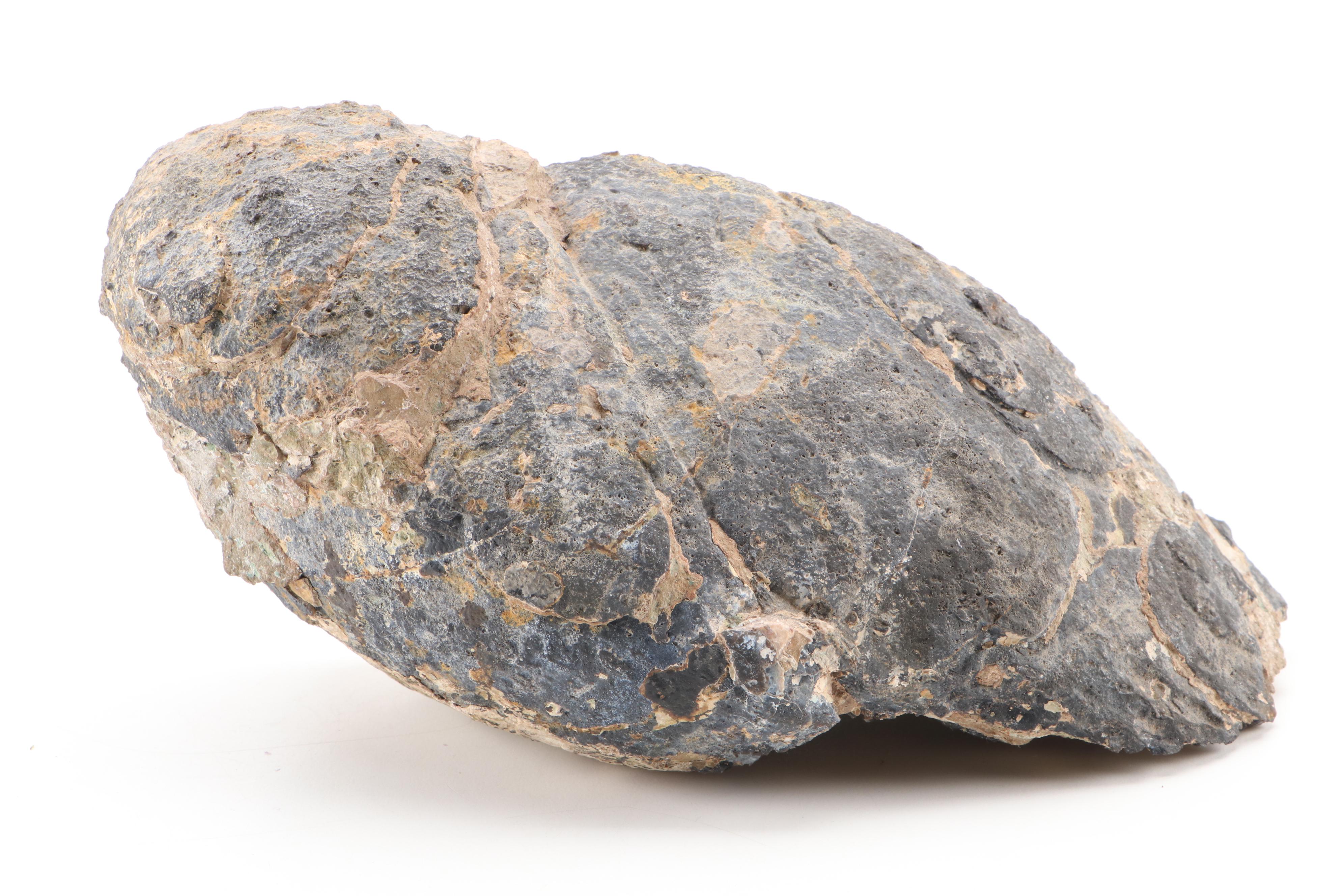 Amethyst and Banded Agate Geode Surface Polished Half-Cut Specimen