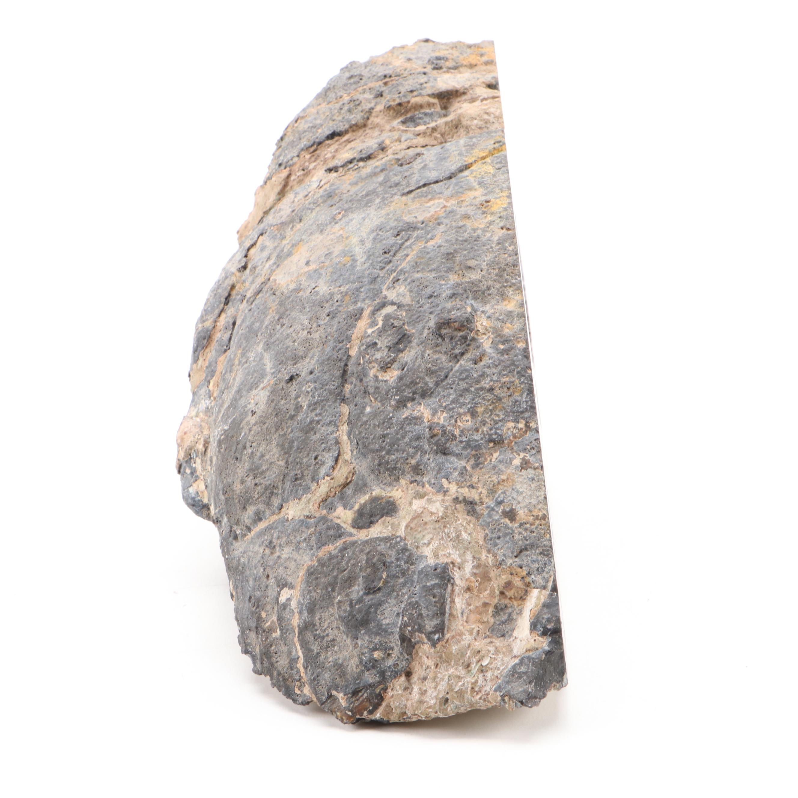 Amethyst and Banded Agate Geode Surface Polished Half-Cut Specimen