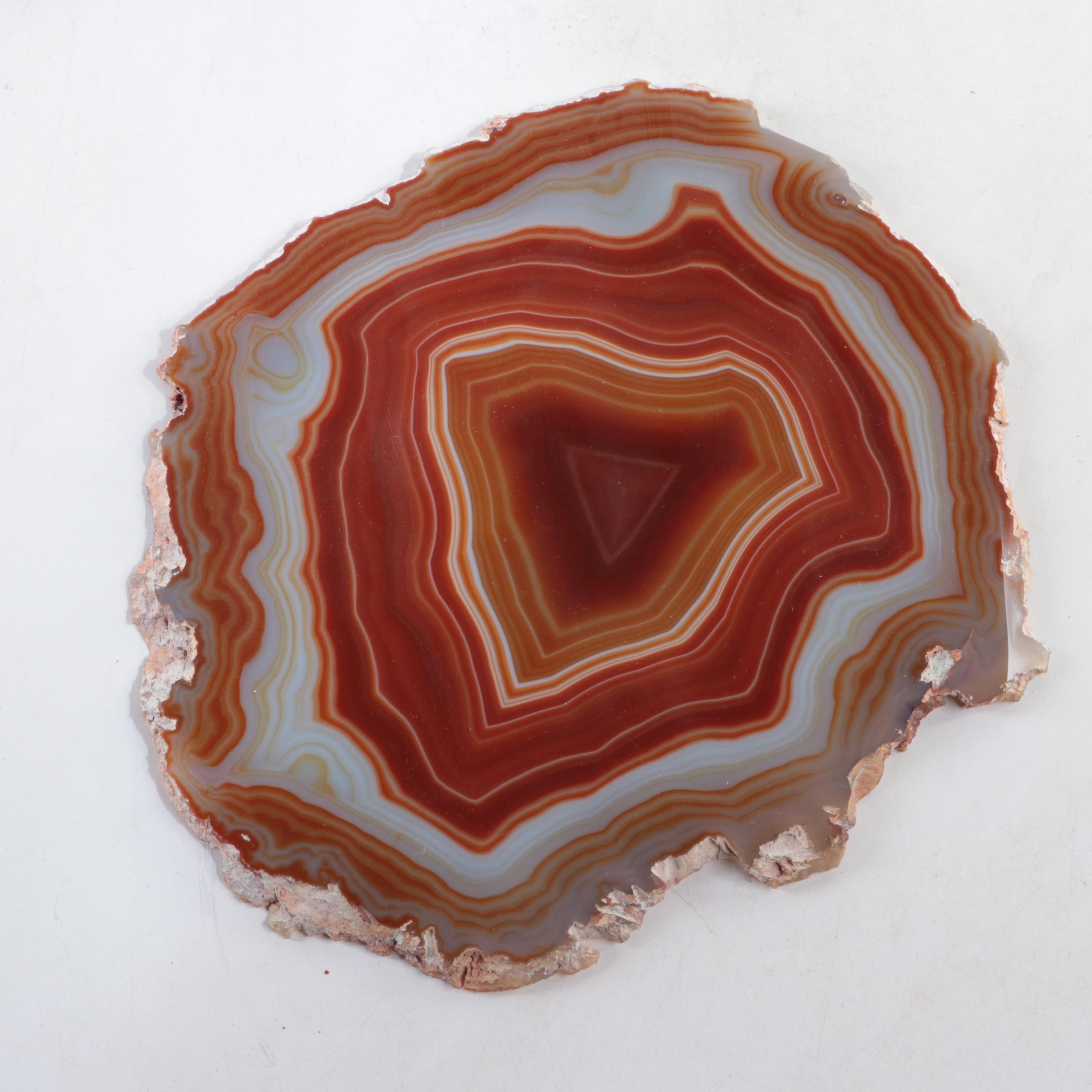 Cut and Polished Banded Agate Slices