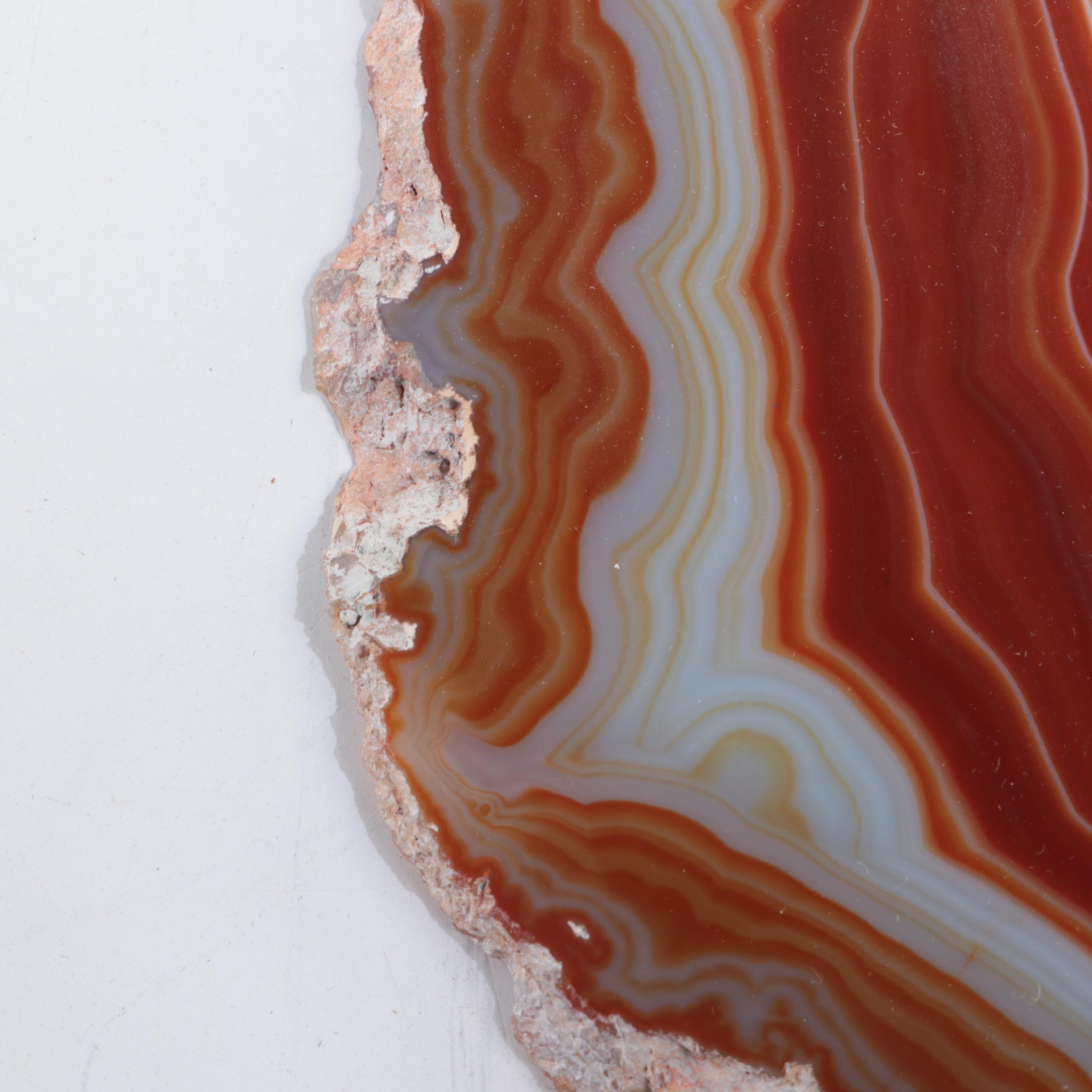 Cut and Polished Banded Agate Slices