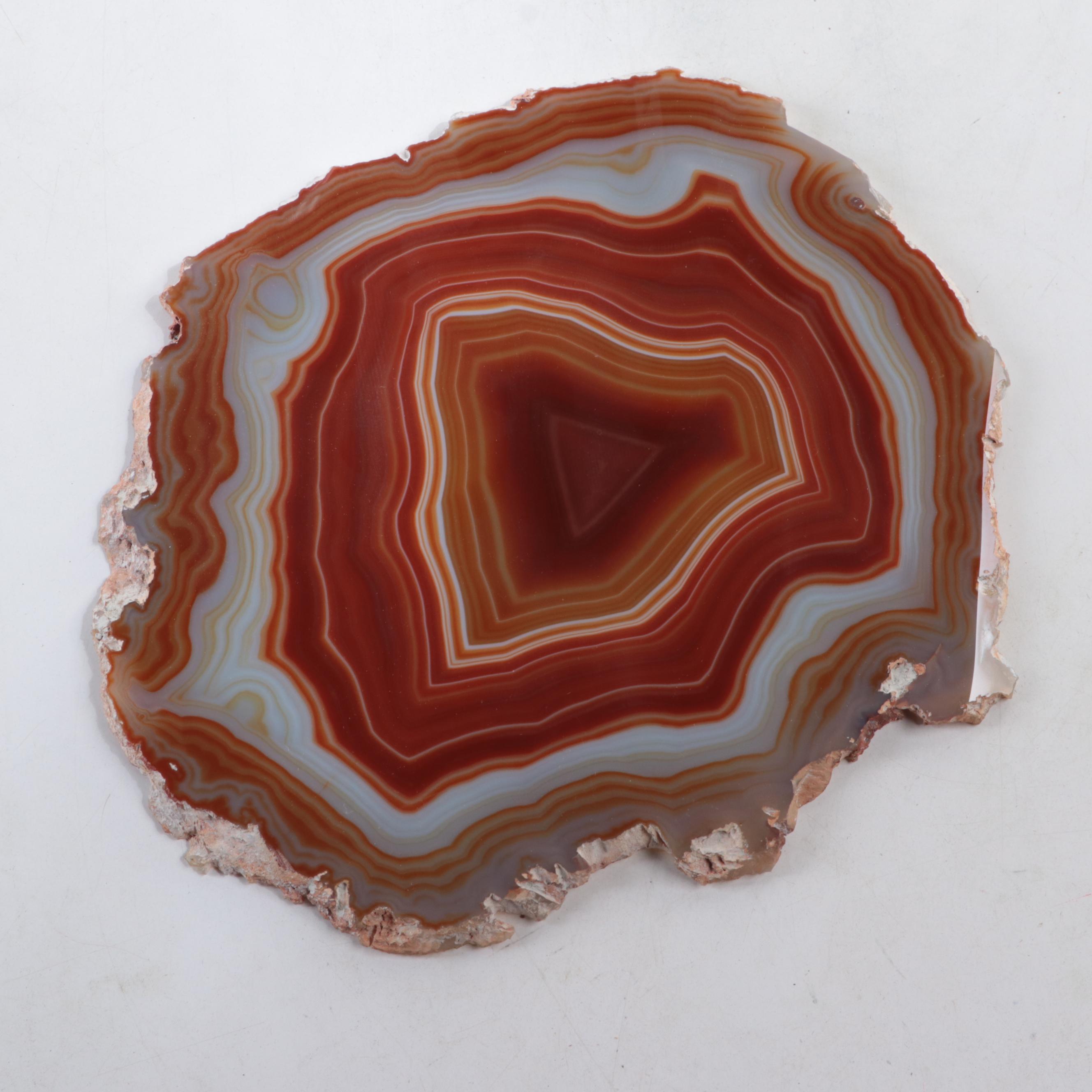 Cut and Polished Banded Agate Slices