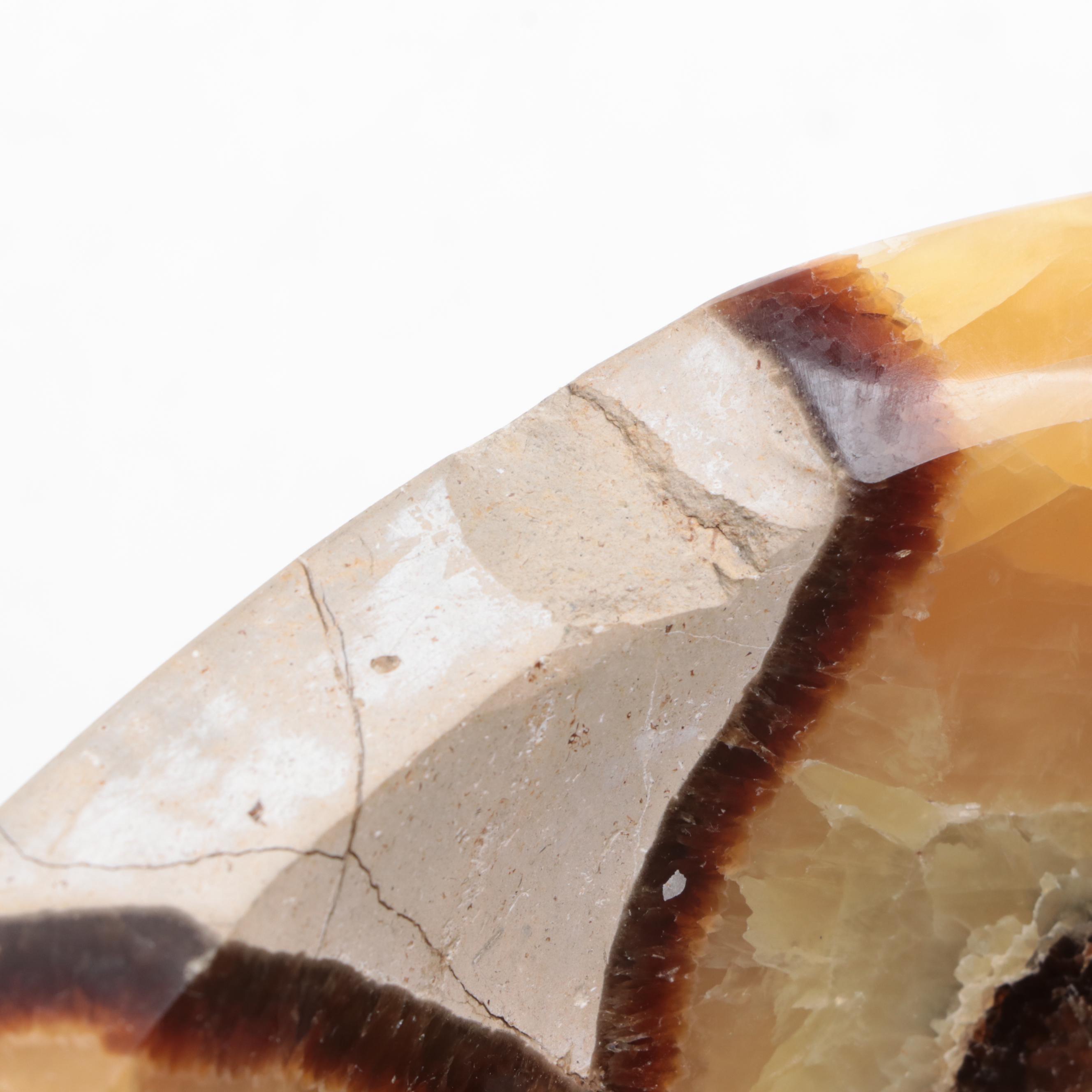 Carved and Polished Septarian Nodule Bowl