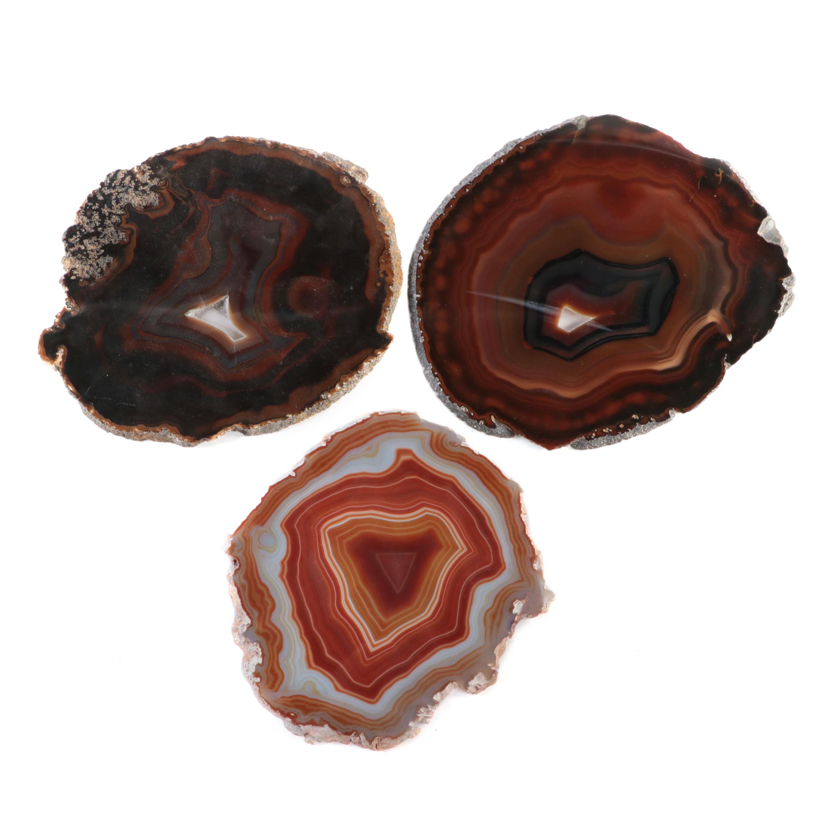Cut and Polished Banded Agate Slices