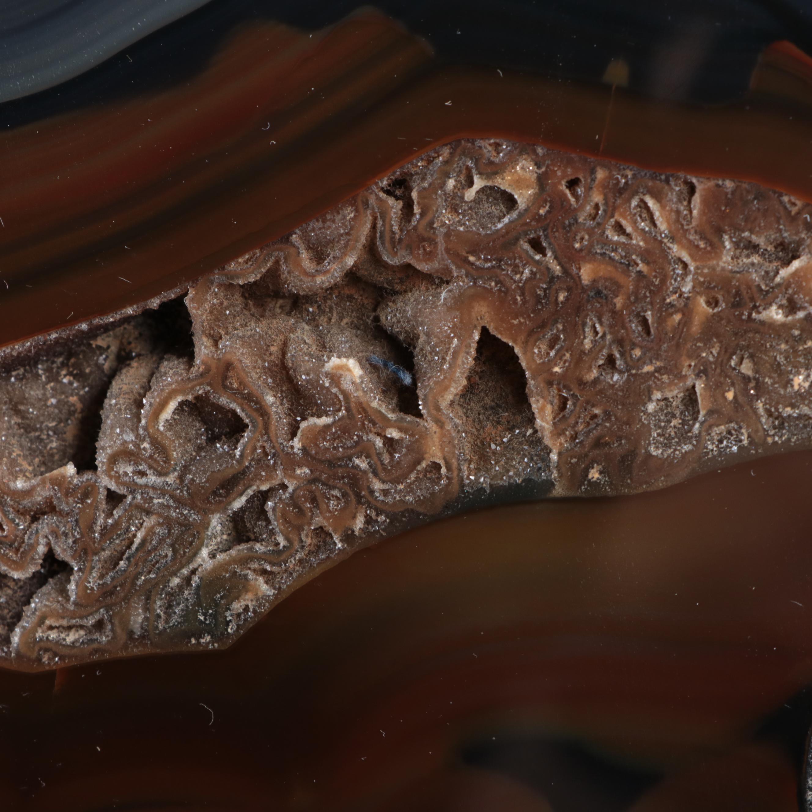 Partially Polished Agate Specimen