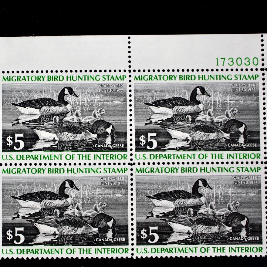 Eleven Different MNH U.S. Duck Stamp Plate Blocks