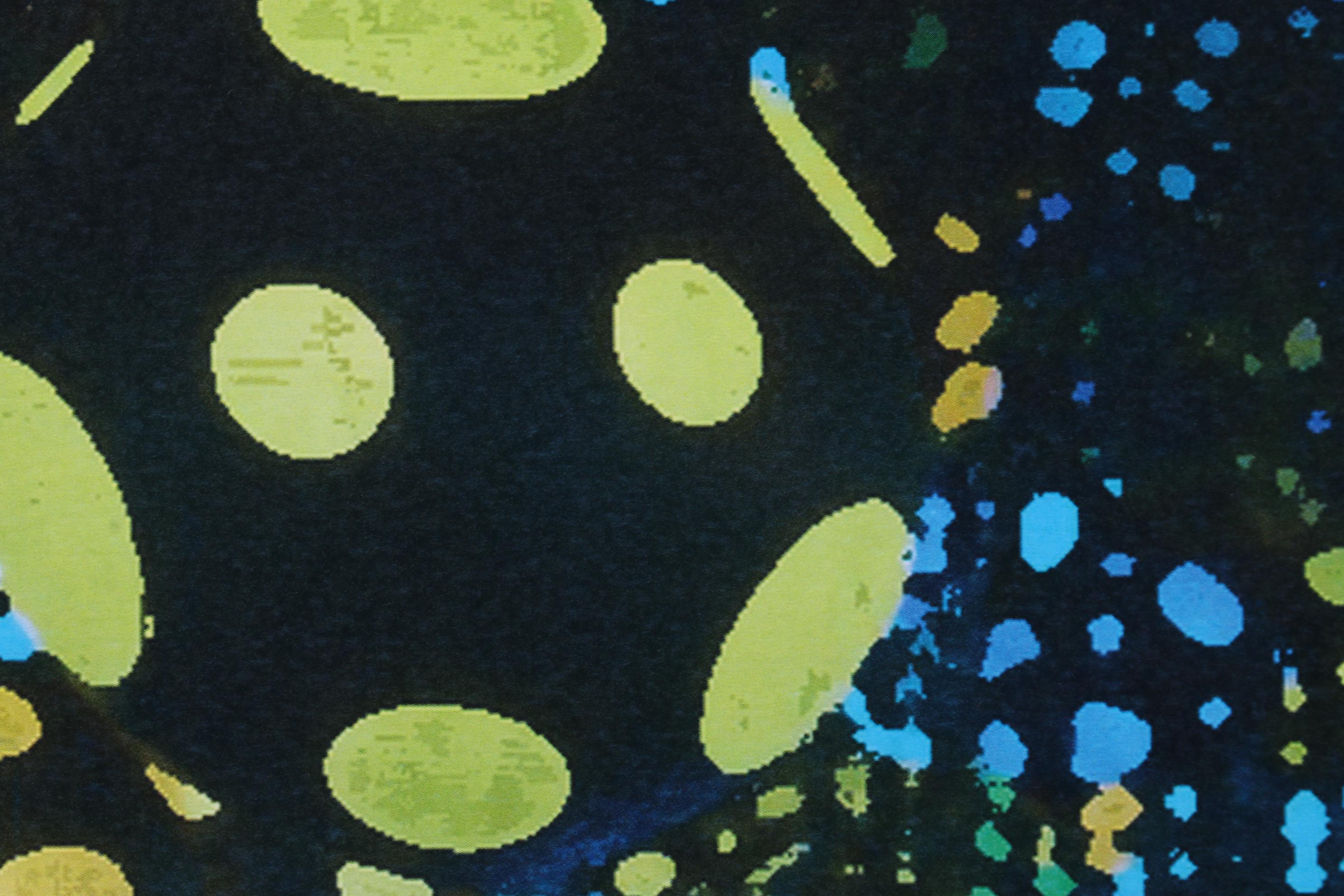 Death NYC Pop Art Charlie Brown and Snoopy