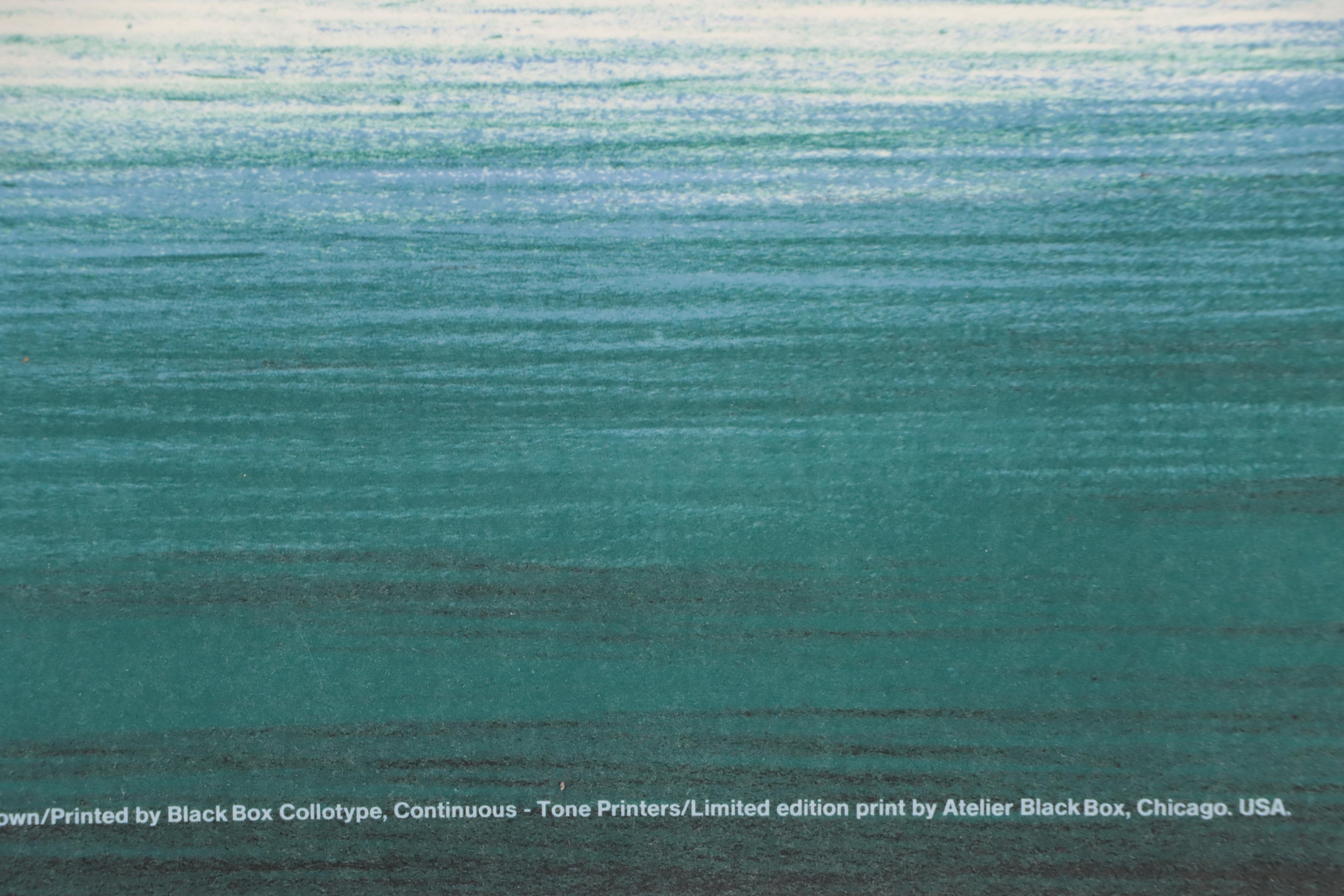 Lithograph After Robert Brown "Chicago International Art Exposition," 1986