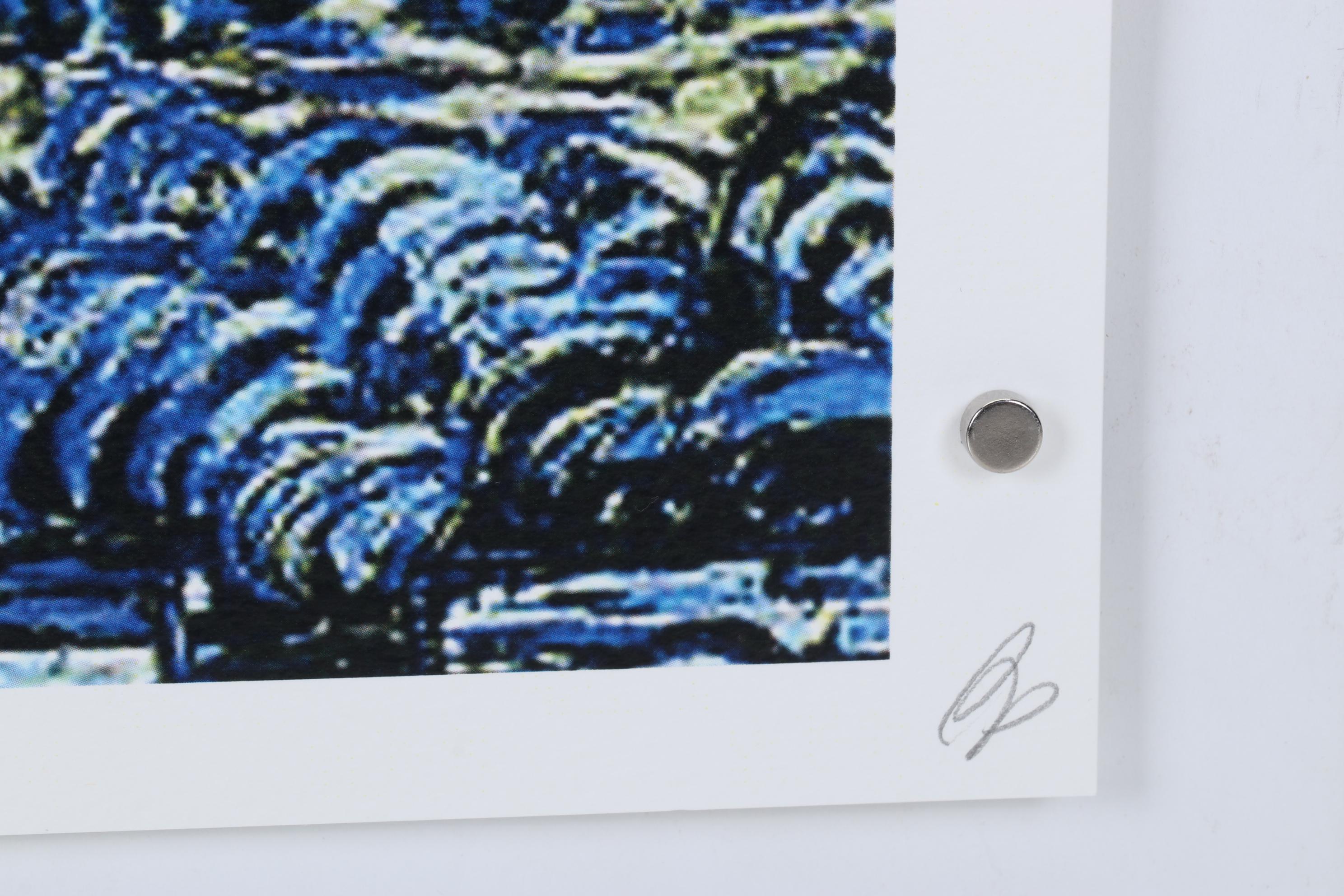 Death NYC Pop Art Graphic Print of Peanuts x van Gogh, 2022