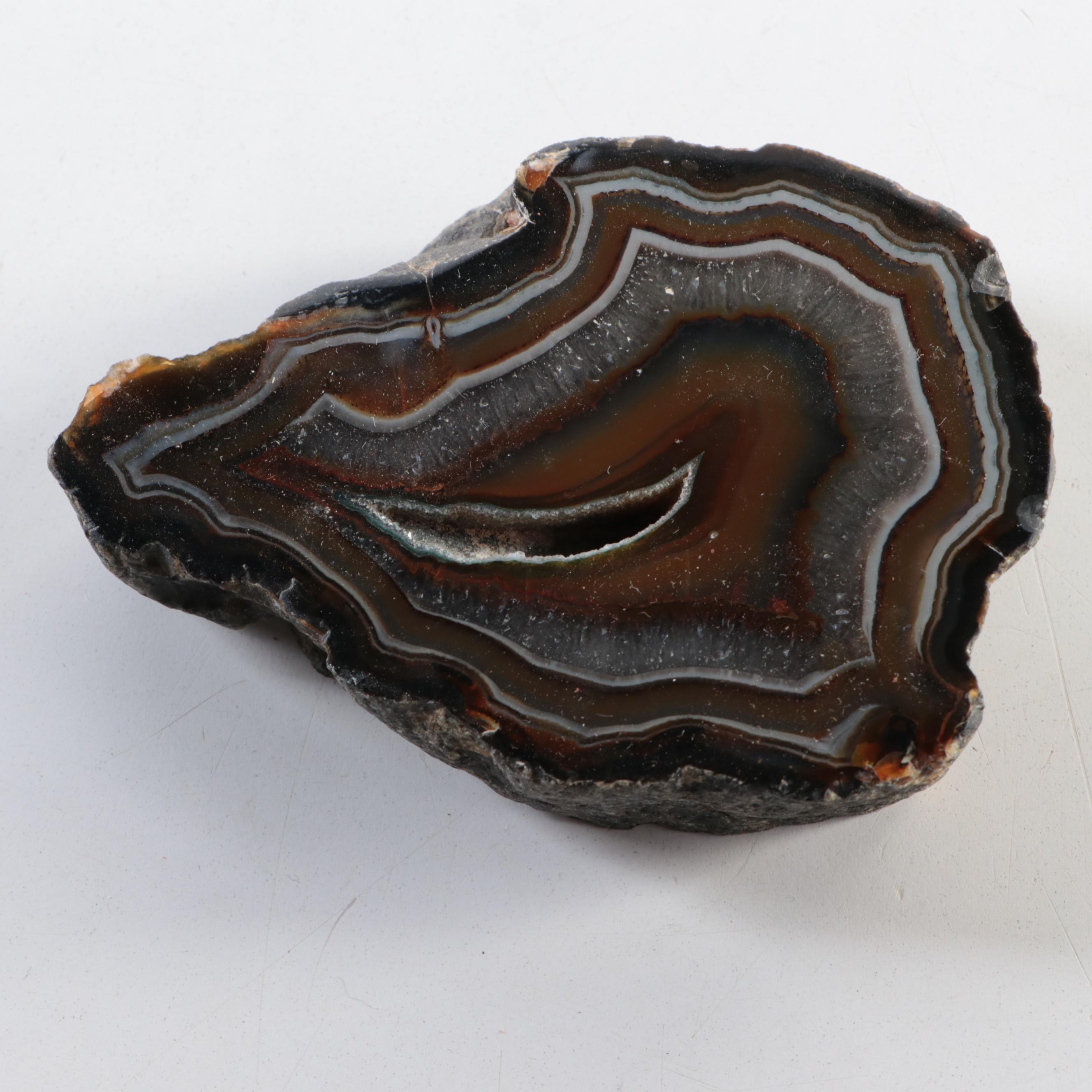 Partially Polished Banded Agate Specimens