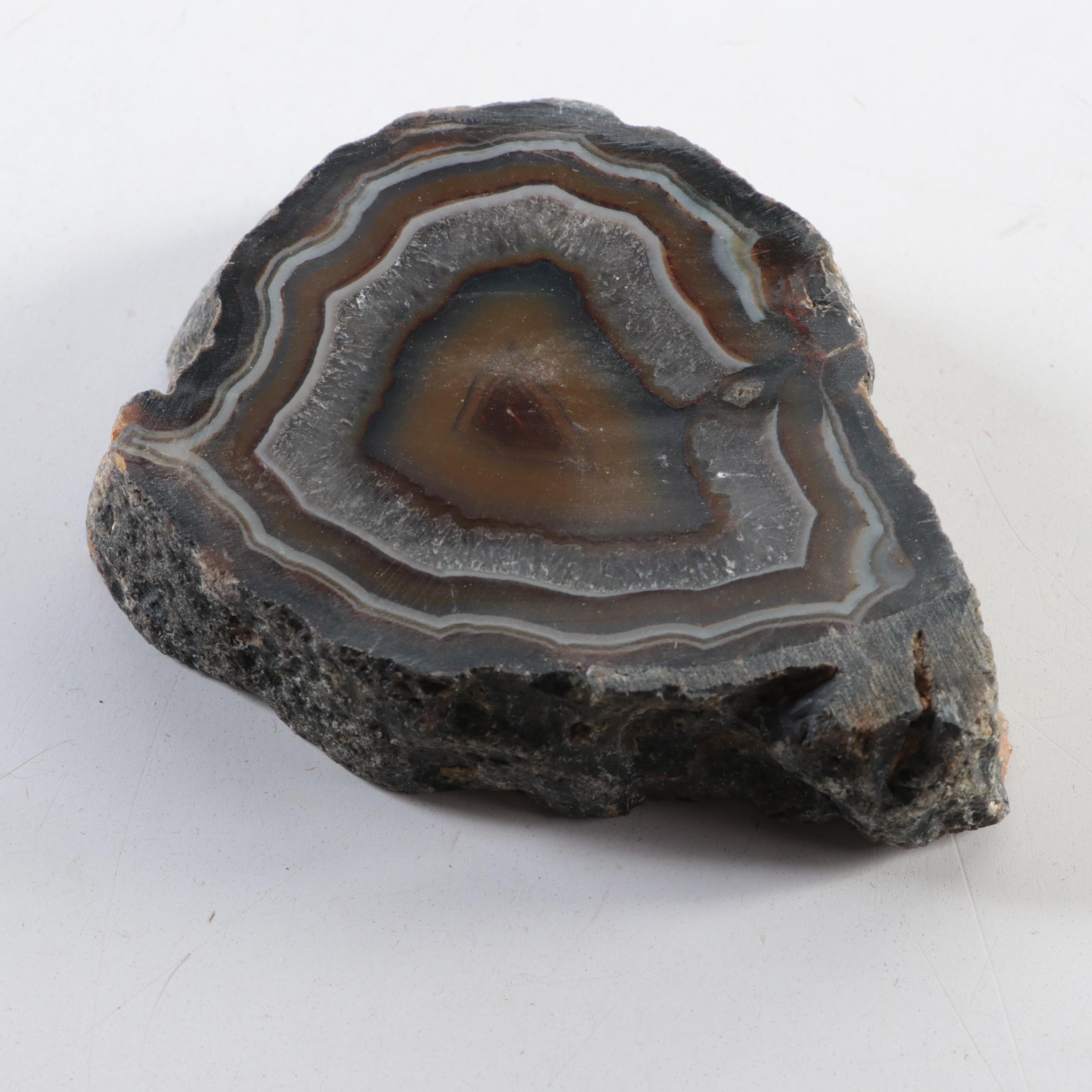 Partially Polished Banded Agate Specimens