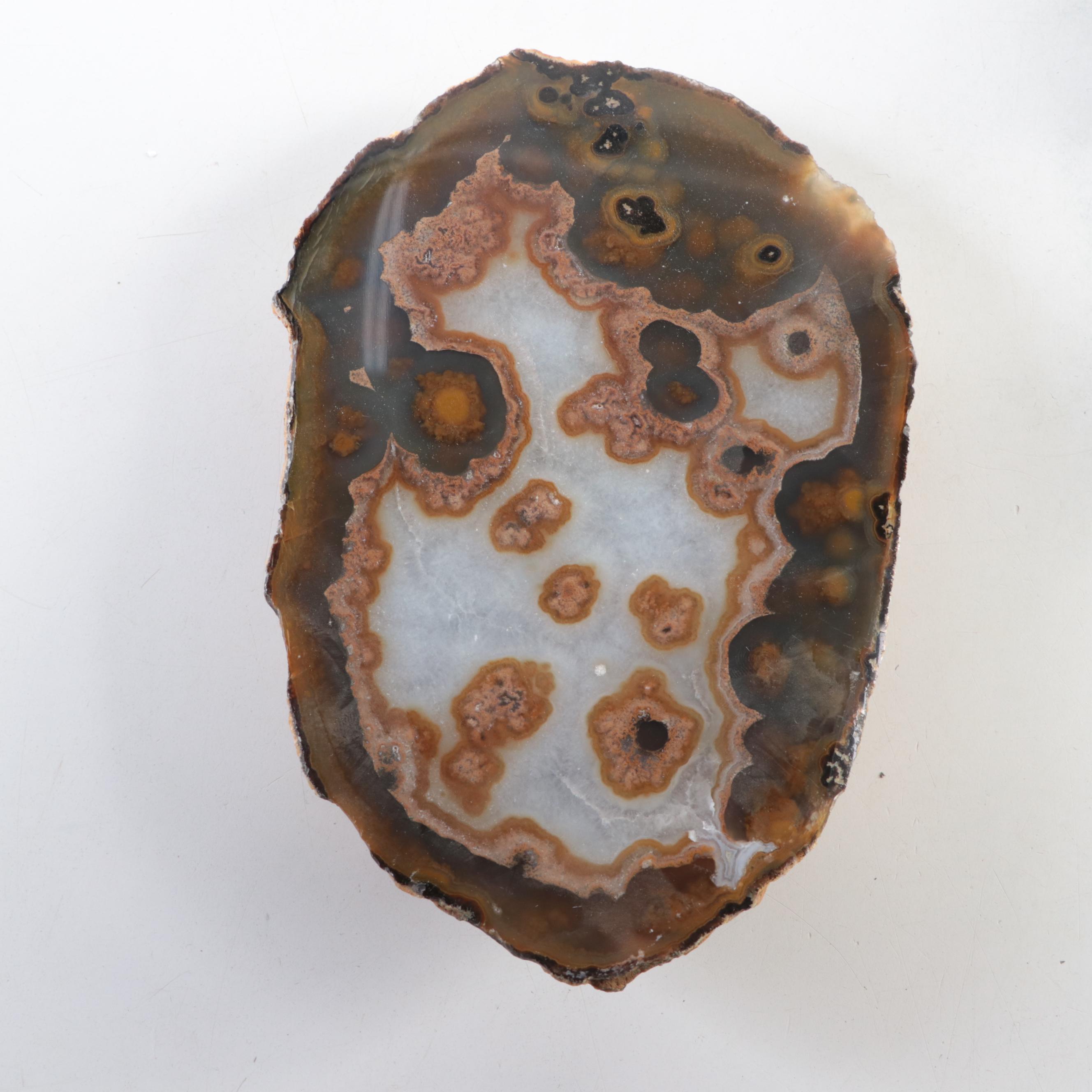 Partially Polished Banded Agate Specimens