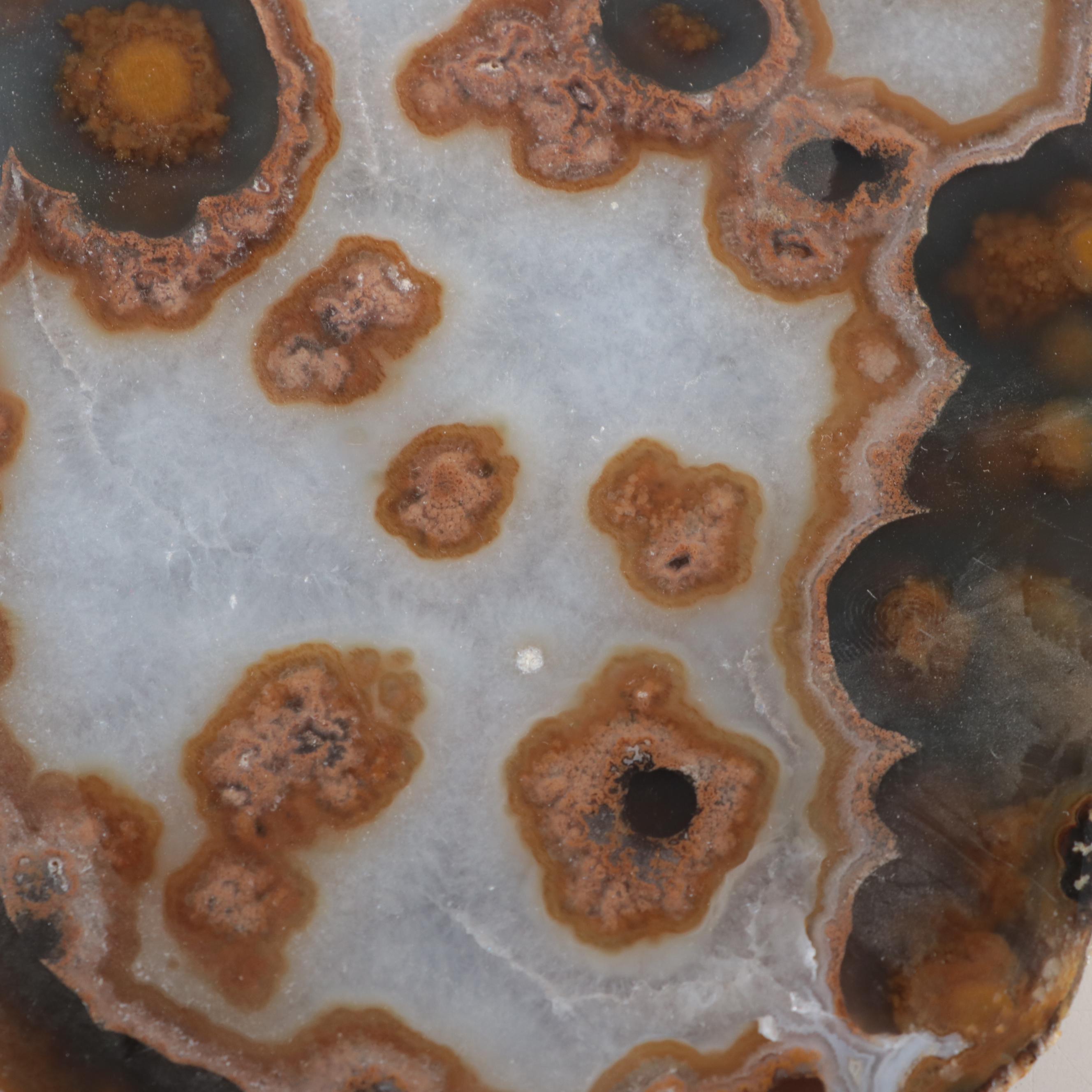 Partially Polished Banded Agate Specimens