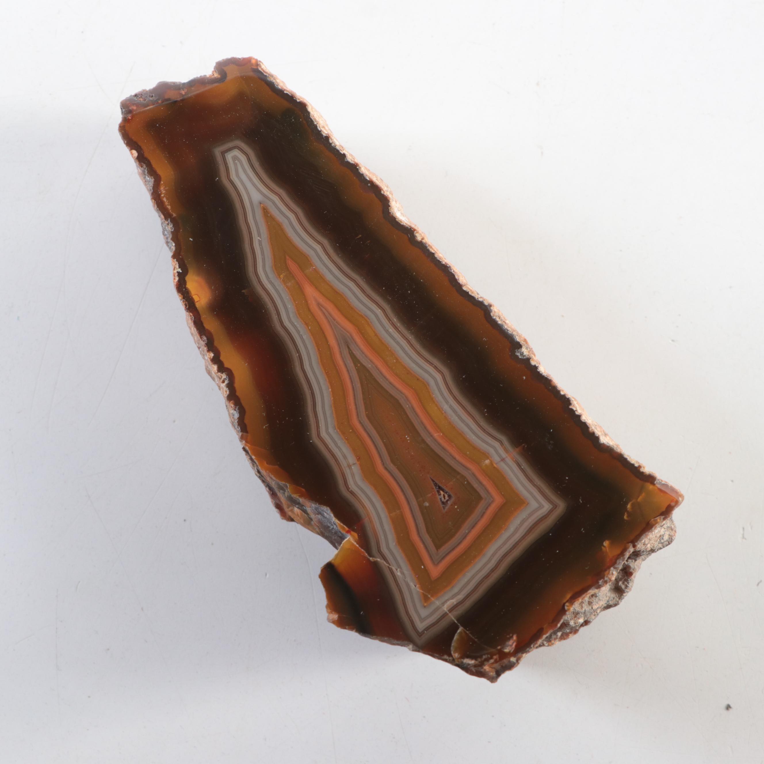 Partially Polished Banded Agate Specimens