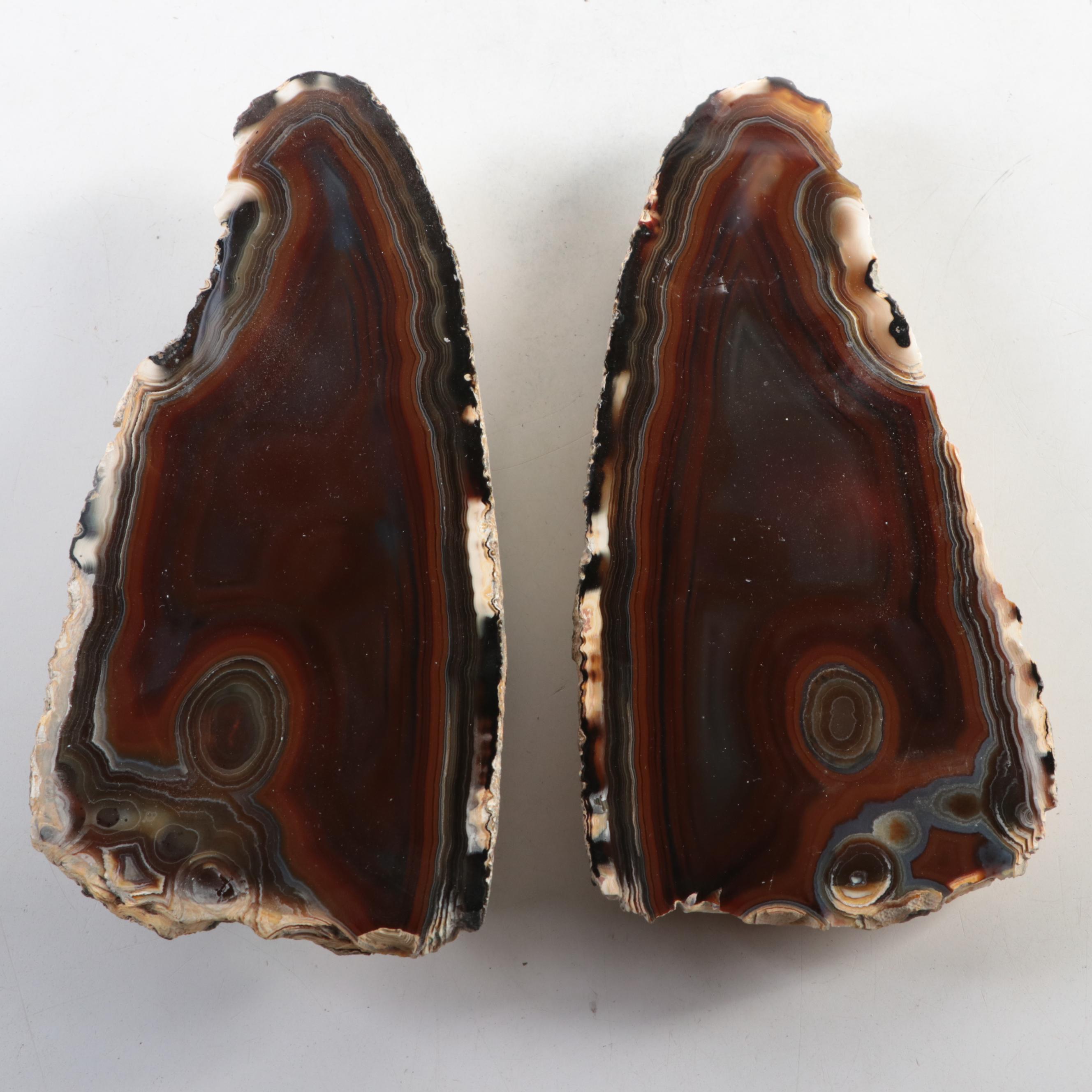 Partially Polished Banded Agate Specimens